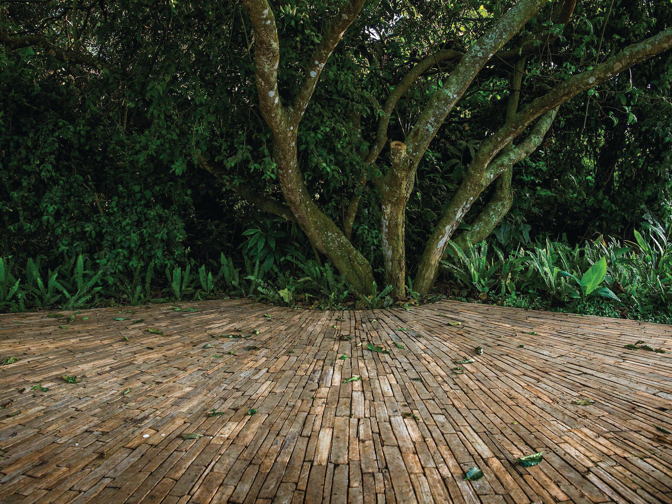Tree and garden paving