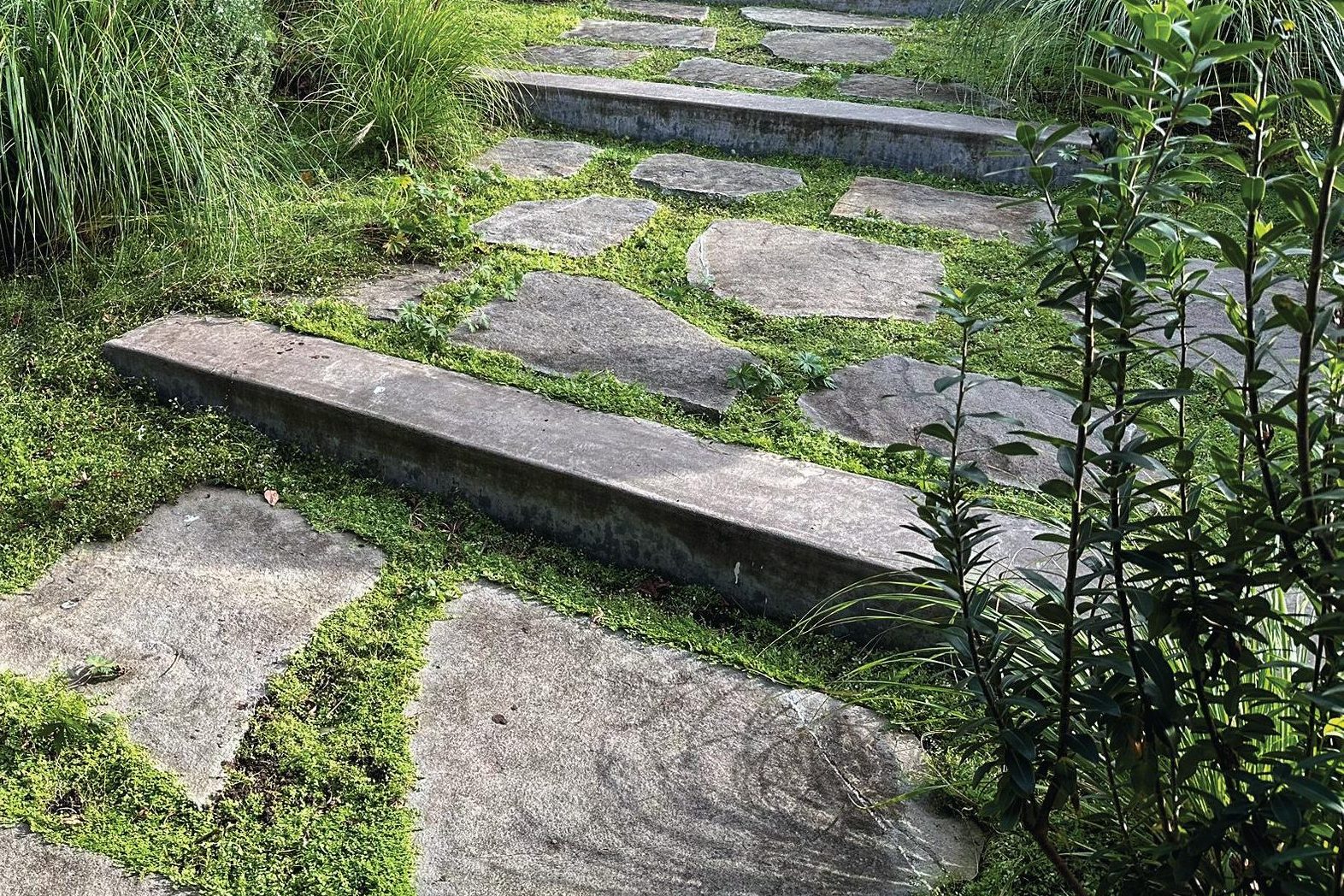 Stone paved steps