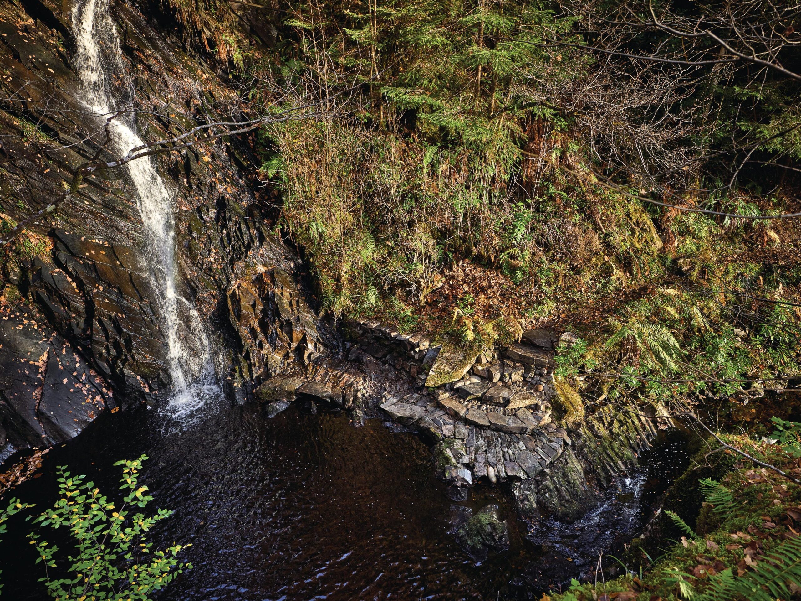 Plunge pool with platform