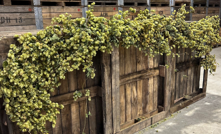 Hops & Flowers by Essentially Hops ©&nbsp;EssentiallyHops