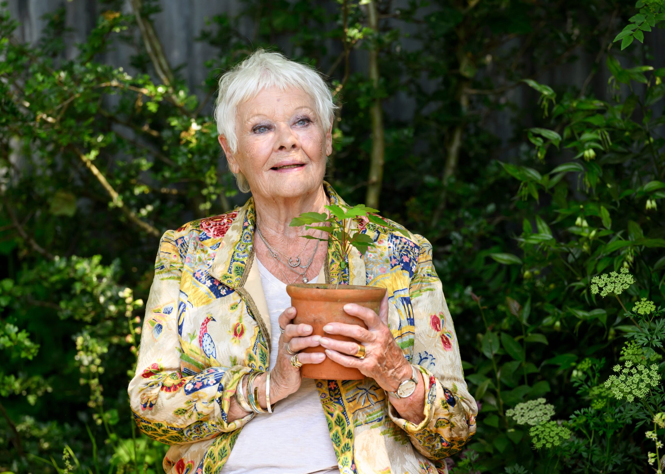 Dame Judi Dench at The RHS Chelsea Flower Show