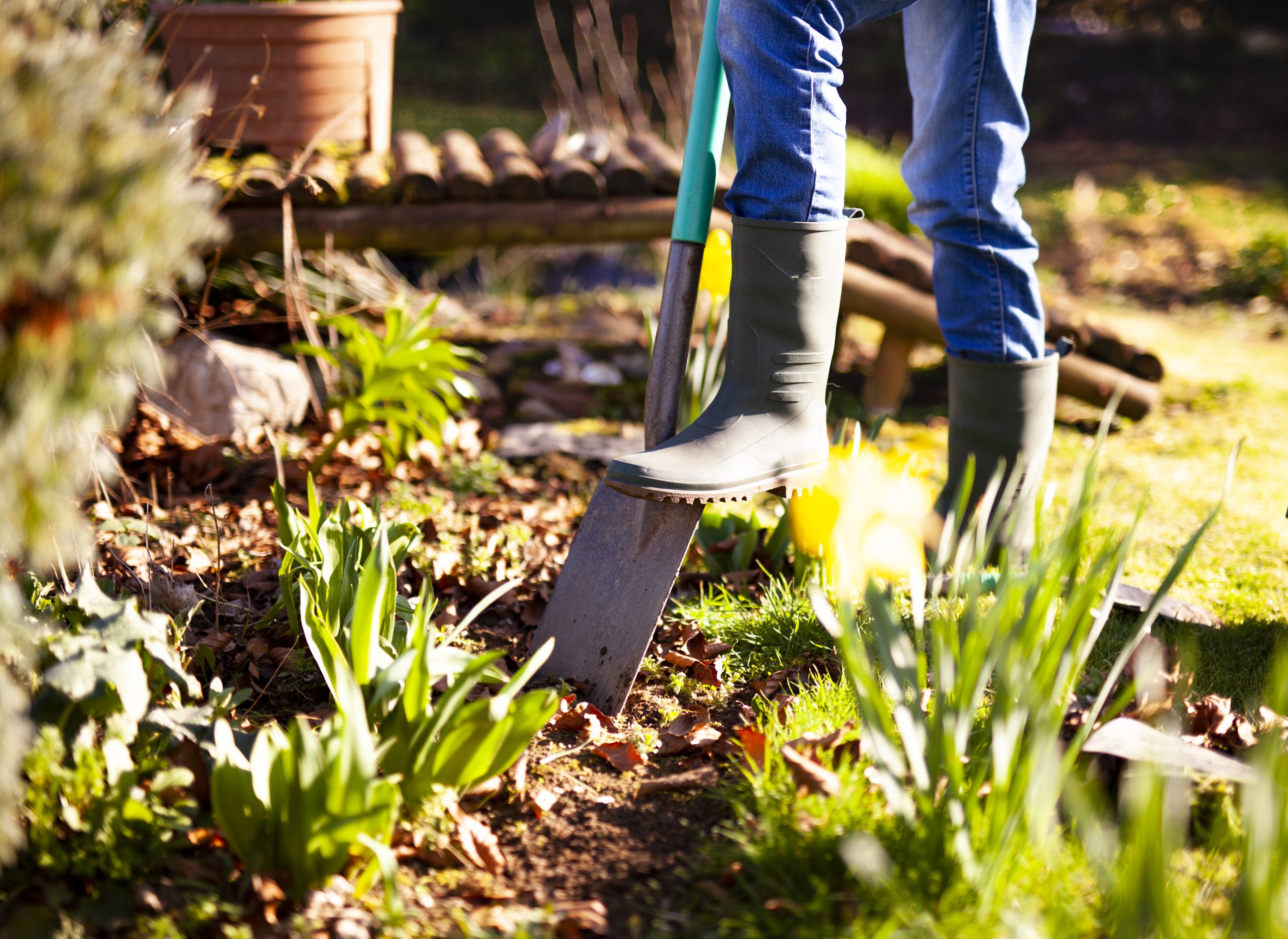 Gardening with a spade