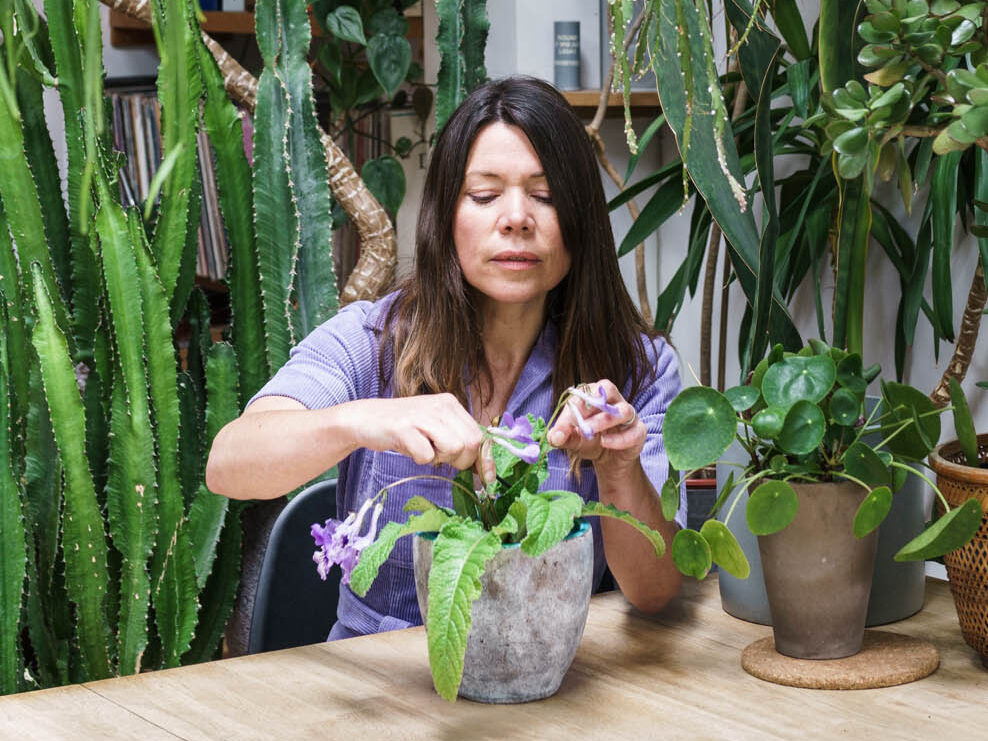 Sarah Gerrard-Jones checking a house plant