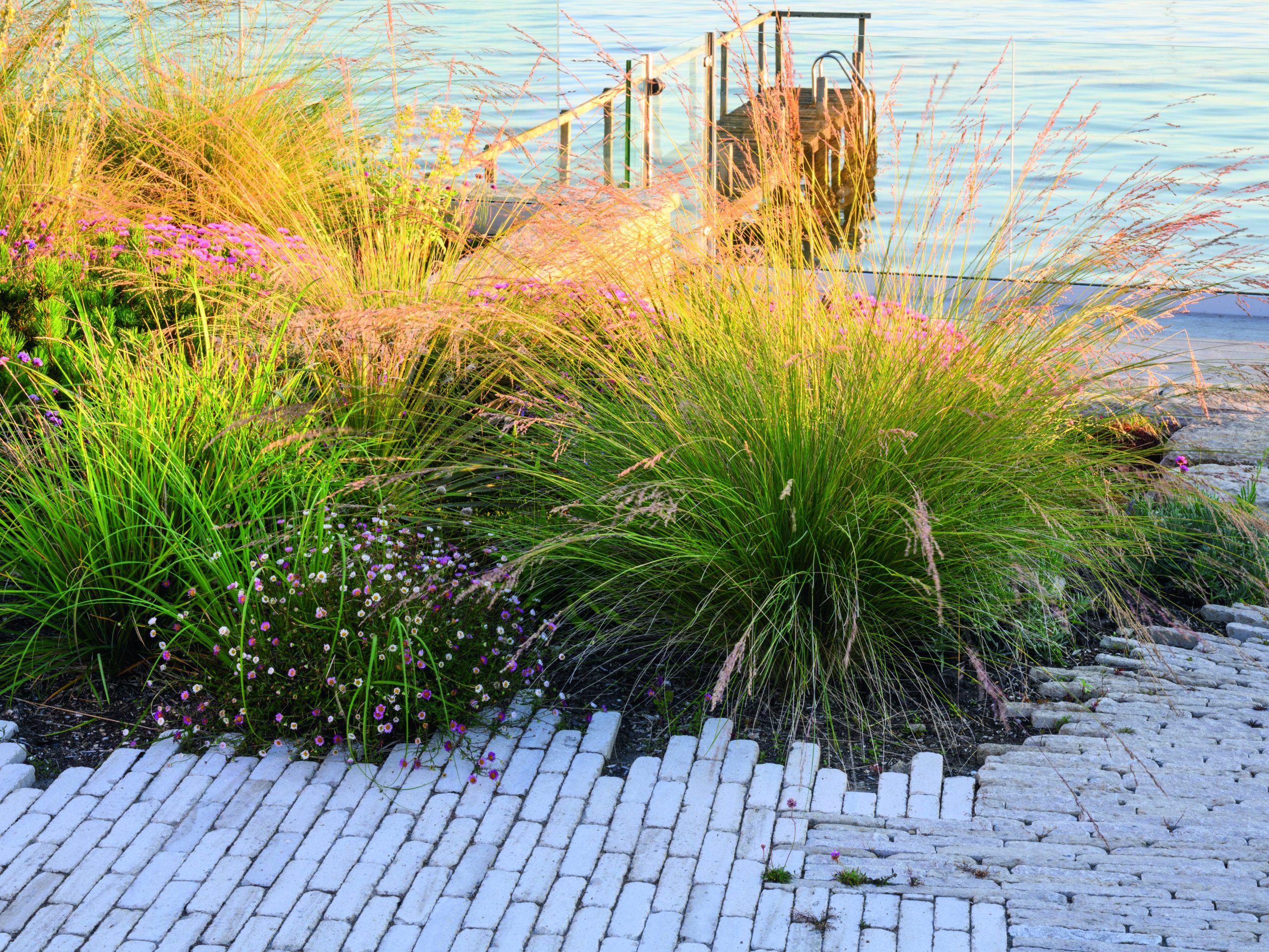 Coastal garden