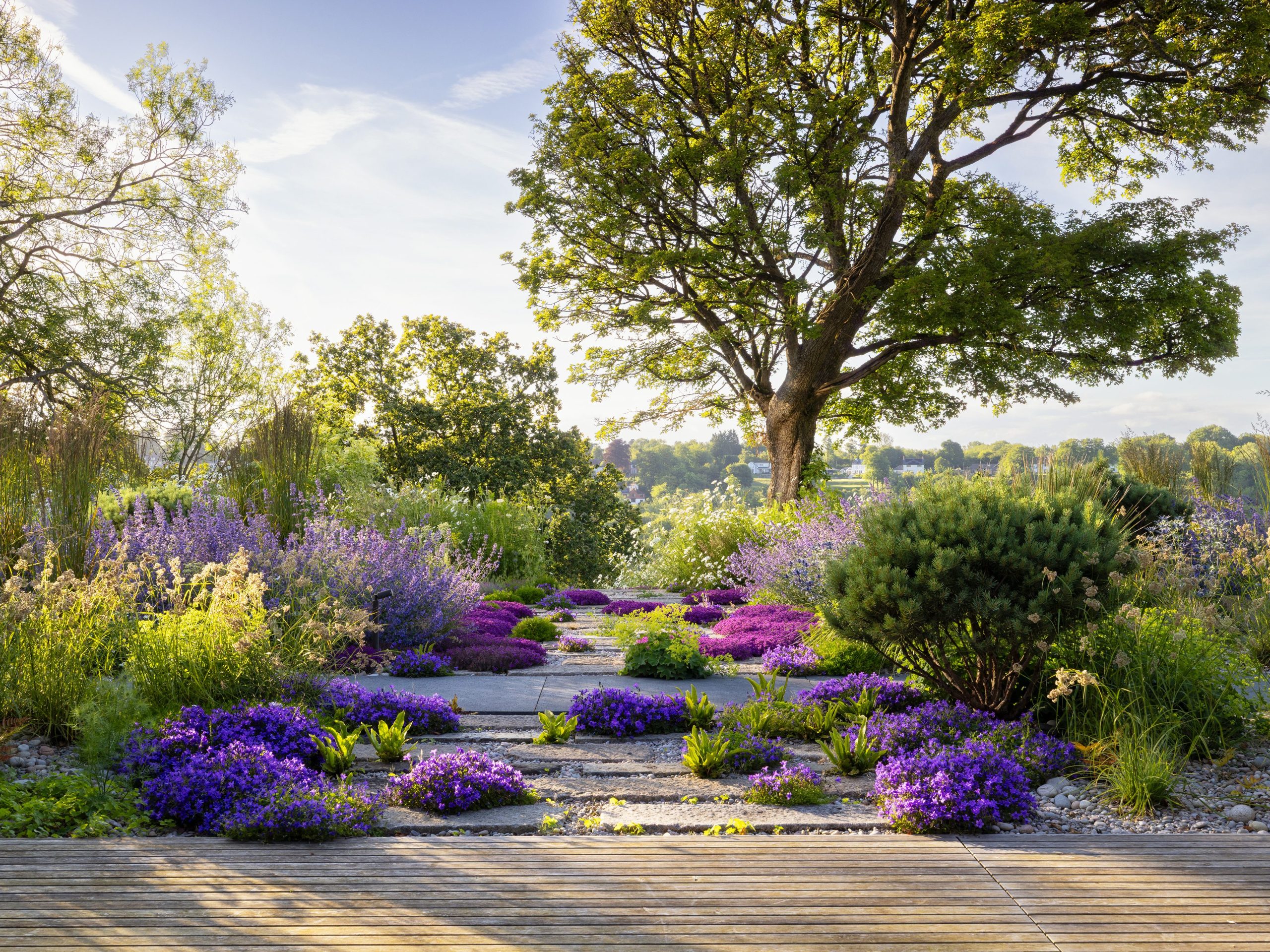 A dry garden in Kent