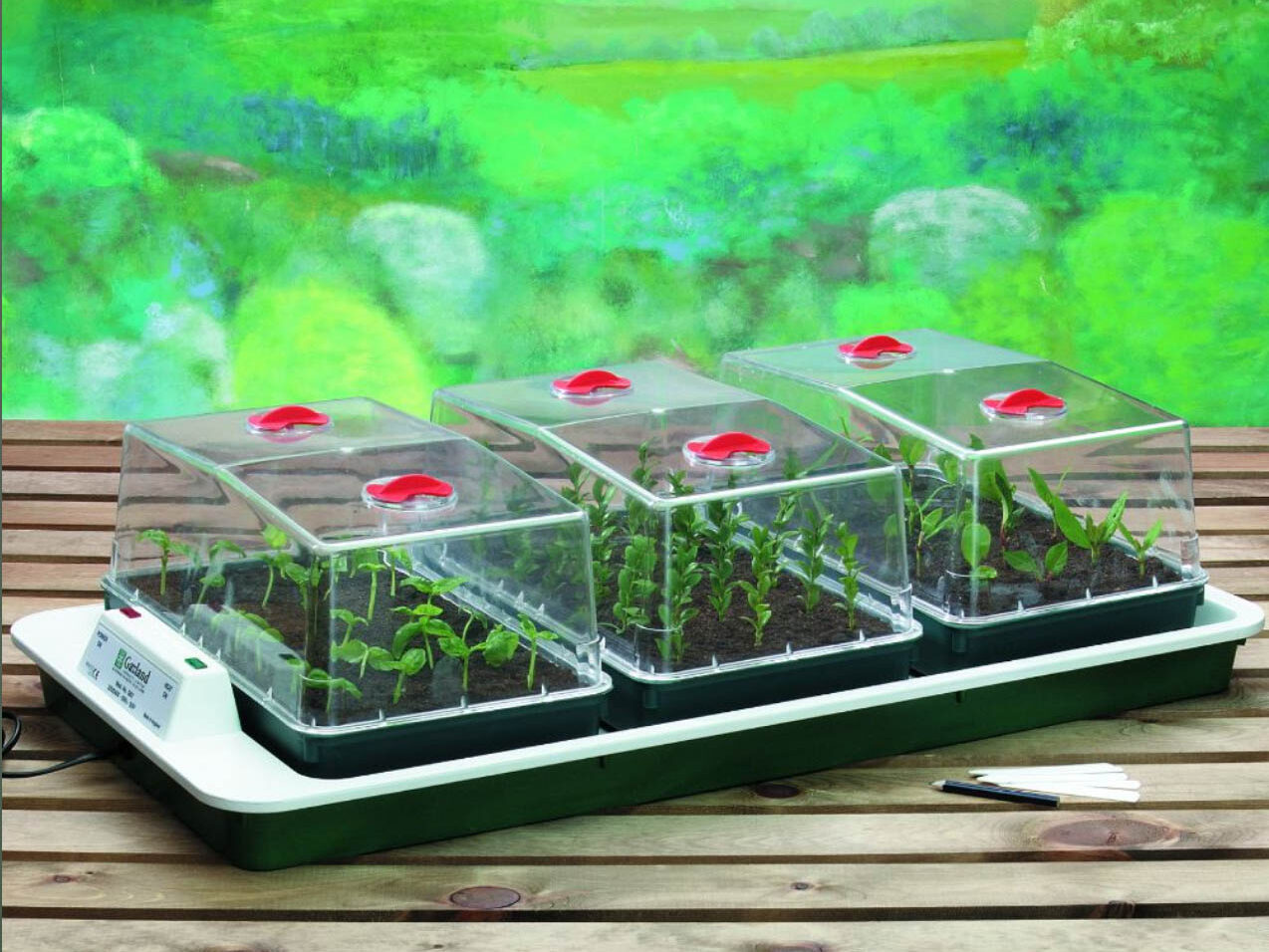 Big 3 Electric Propagator