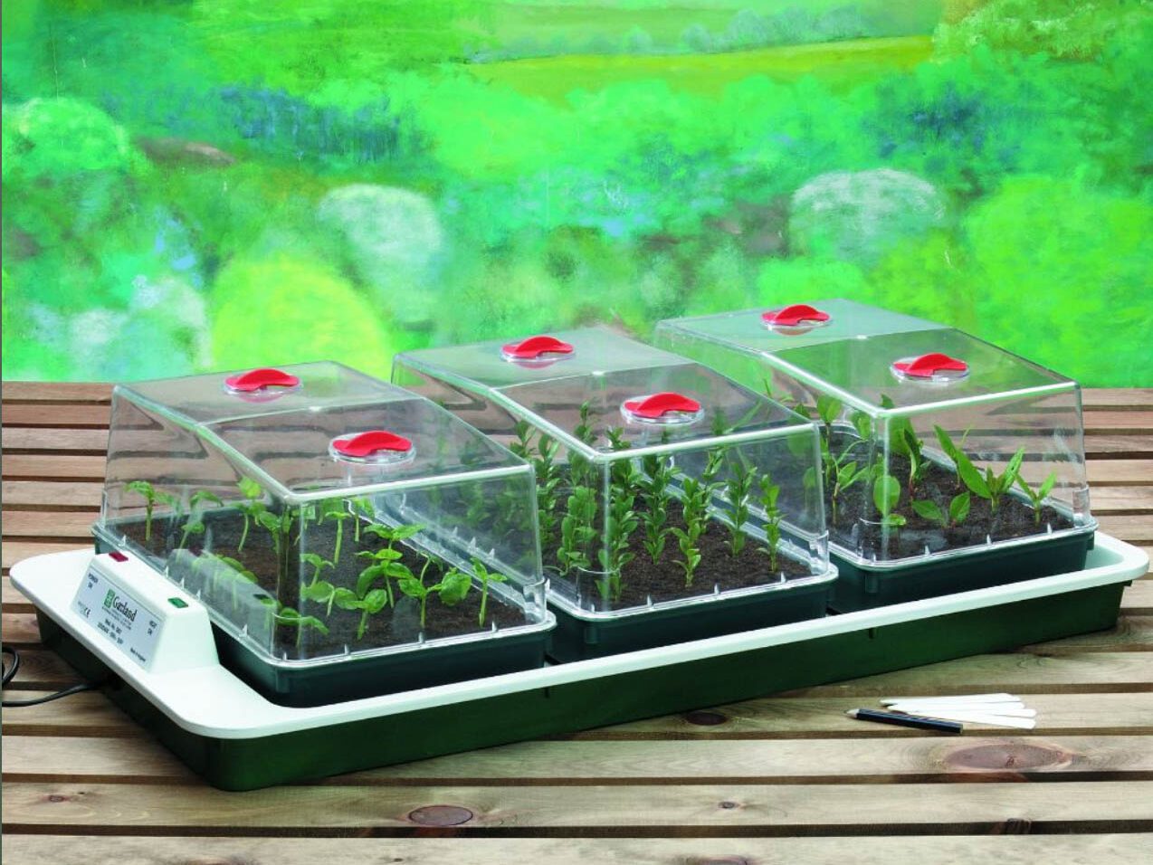 Big 3 Electric Propagator