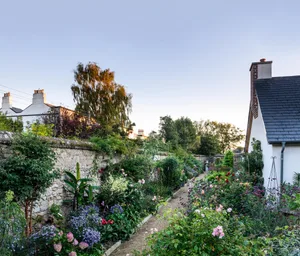 Helen Dillon's Garden - Ireland (9th September 2020) A long, gravel path follows the line of an old granite wall and a campana urn provides a focal point and full stop. The planting is a rich mixture of bedding, perennials and shrubs. Trees ‘borrowed’ from neighbouring gardens frame the space and link it with the landscape.