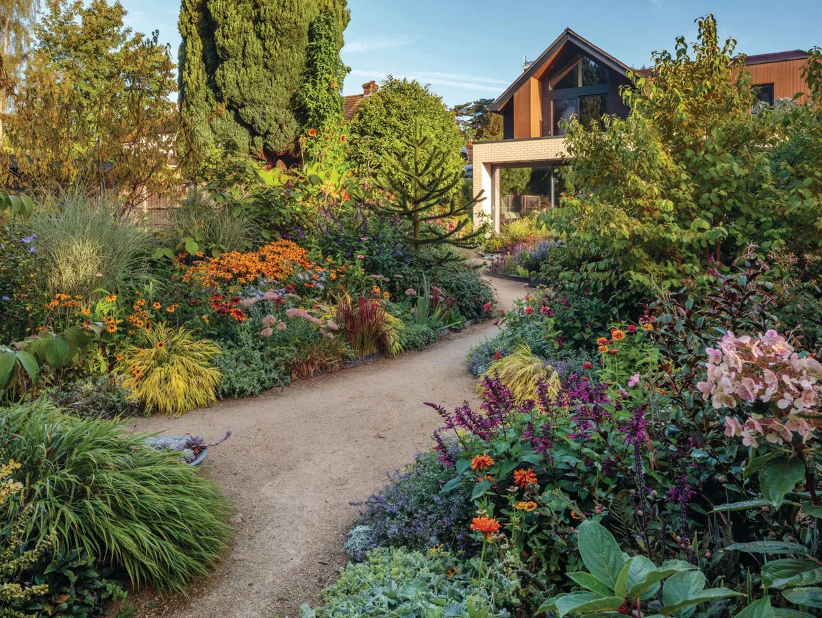 134422_preview Self-binding gravel paths wind around the plant-packed borders – a riot of colourful plants with strikingly strong contrasts. Choices include vibrant Rudbeckia fulgida var. sullivantii ‘Goldsturm’, rich mahogany Rudbeckia hirta ‘Cappuccino’, chartreuseyellow Hakonechloa macra SunFlare (= ‘Habsfl007’) and ruby-flushed Imperata cylindrica ‘Red Baron’. © Clive Nichols