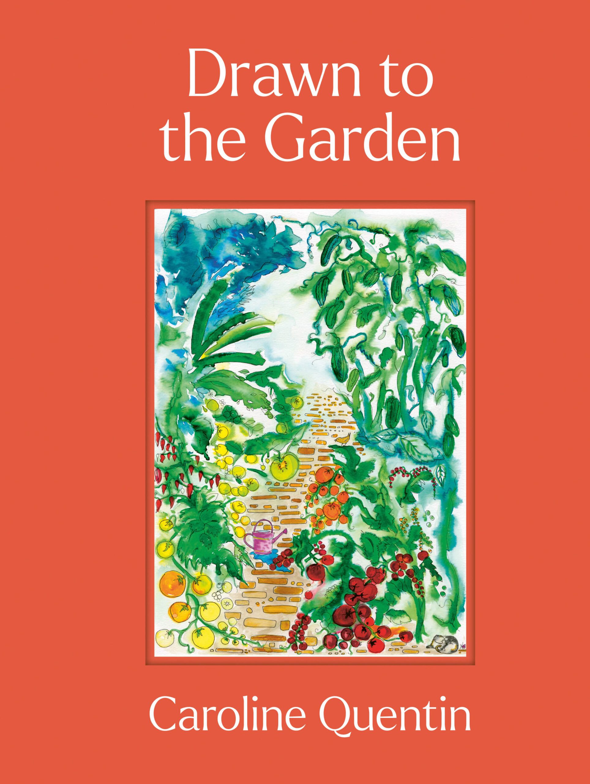 Drawn to the Garden by Caroline Quentin