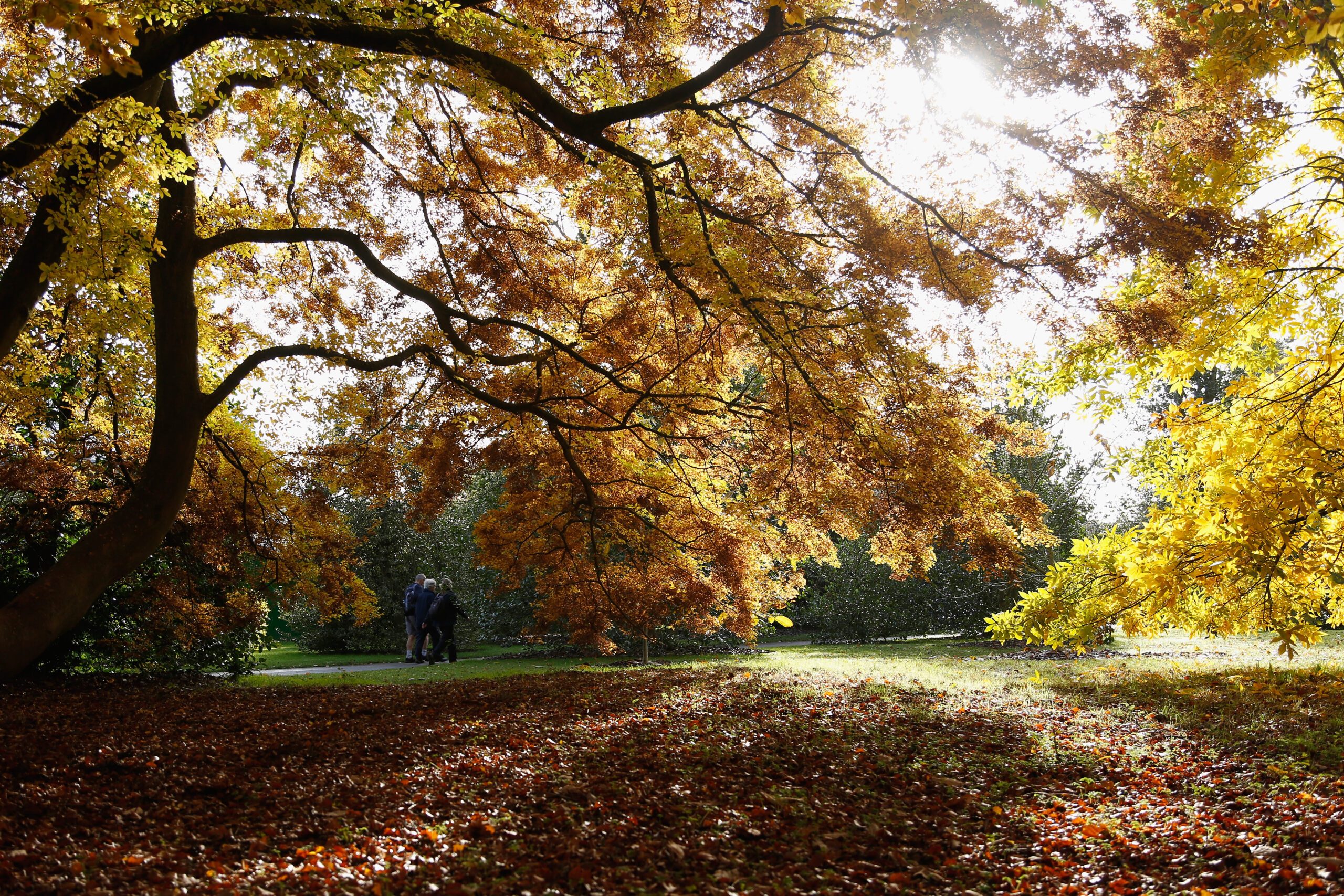 Kew gardens in autumn