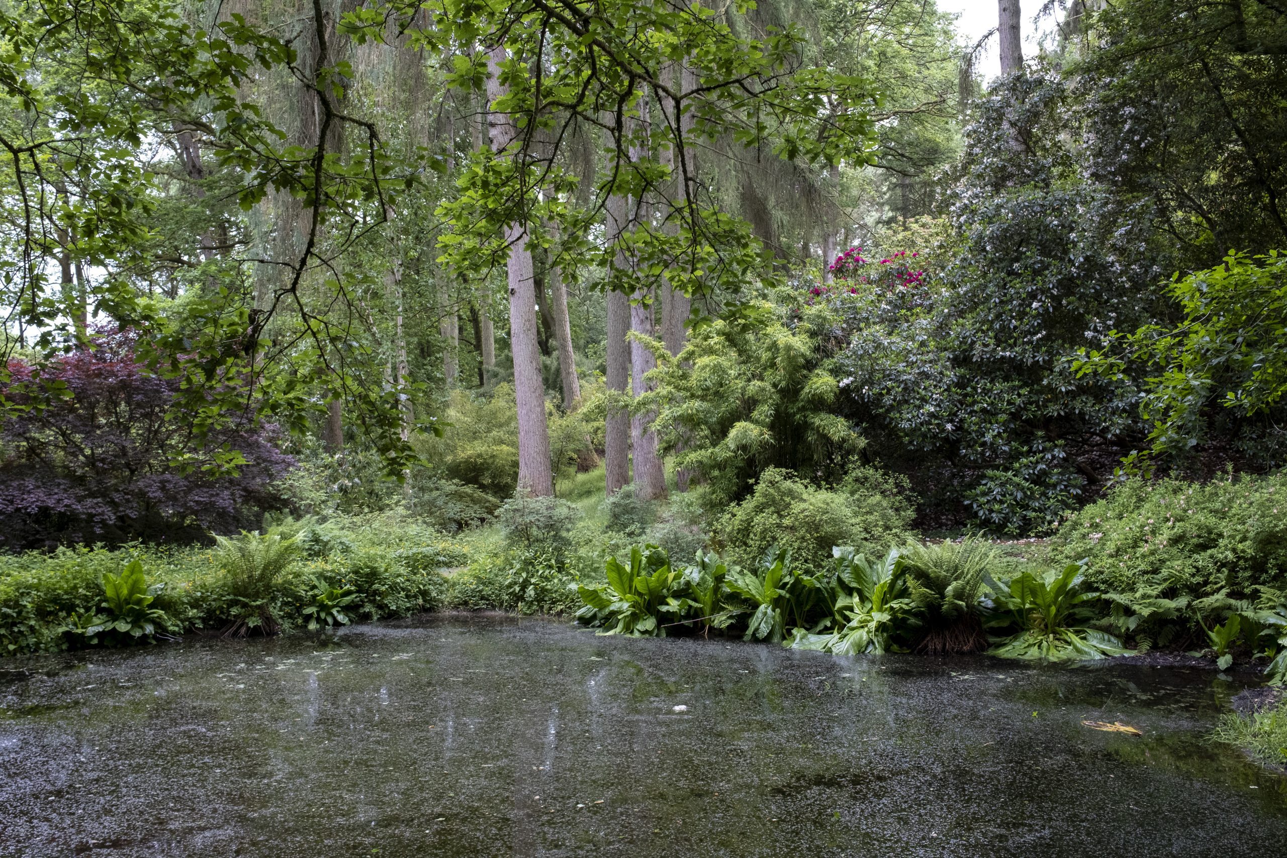 Hergest Croft Gardens