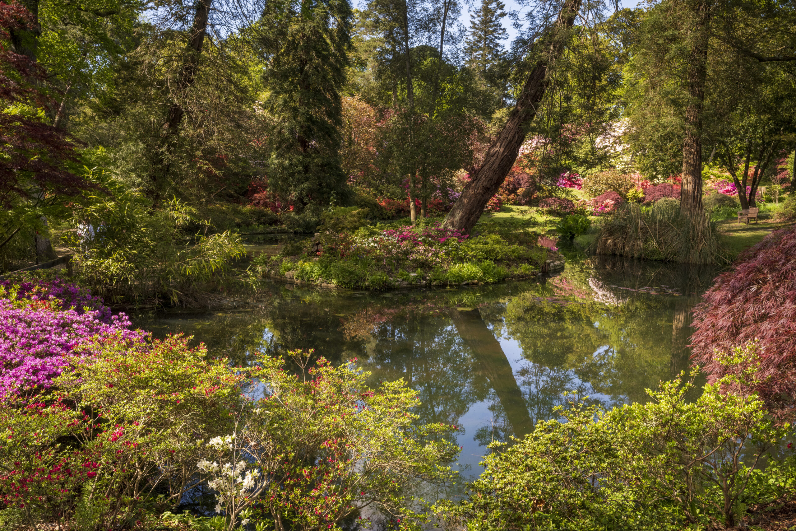 Exbury Gardens in the New Forest
