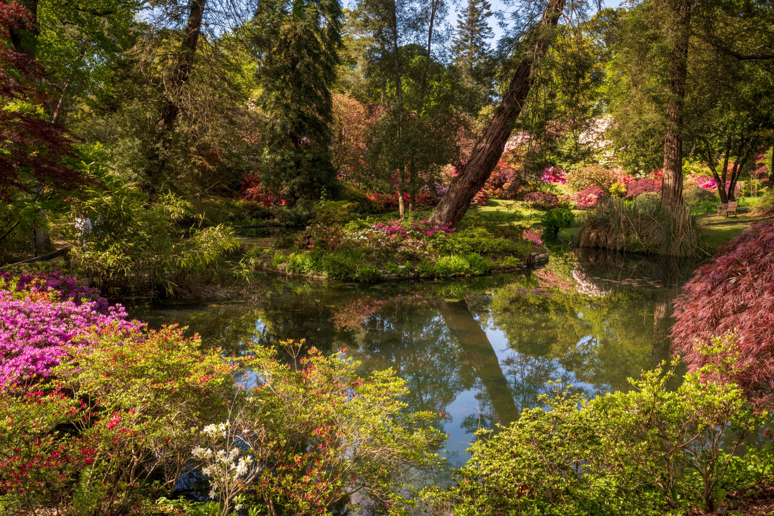 Exbury Gardens in the New Forest