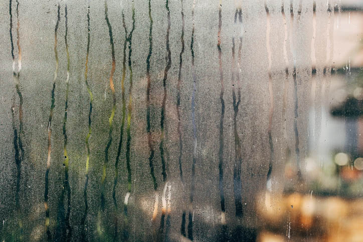 Condensation in a greenhouse