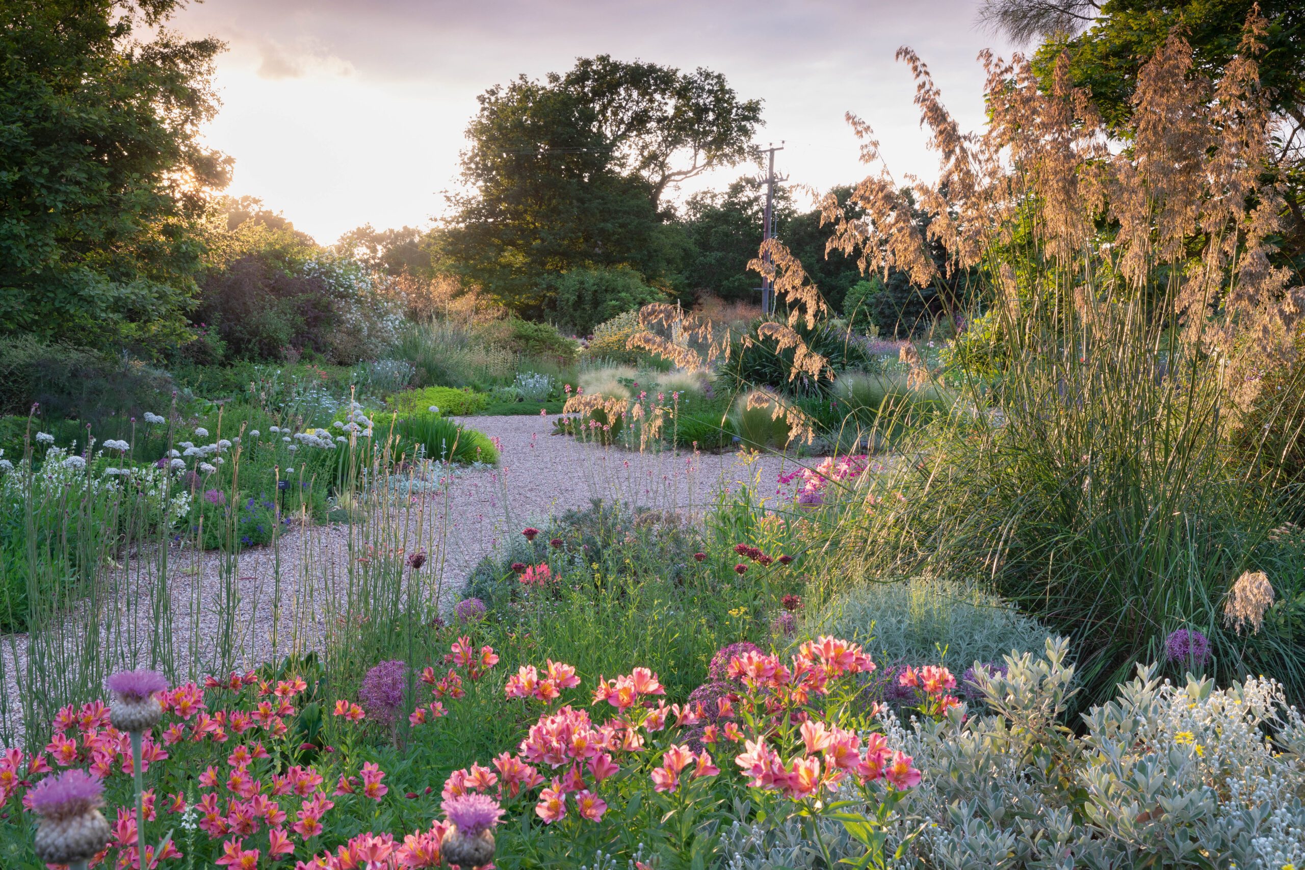 The Gravel Garden at Beth Chatto's garden
