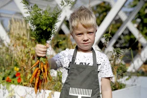 Growing carrots with the kids Growing carrots with the kids