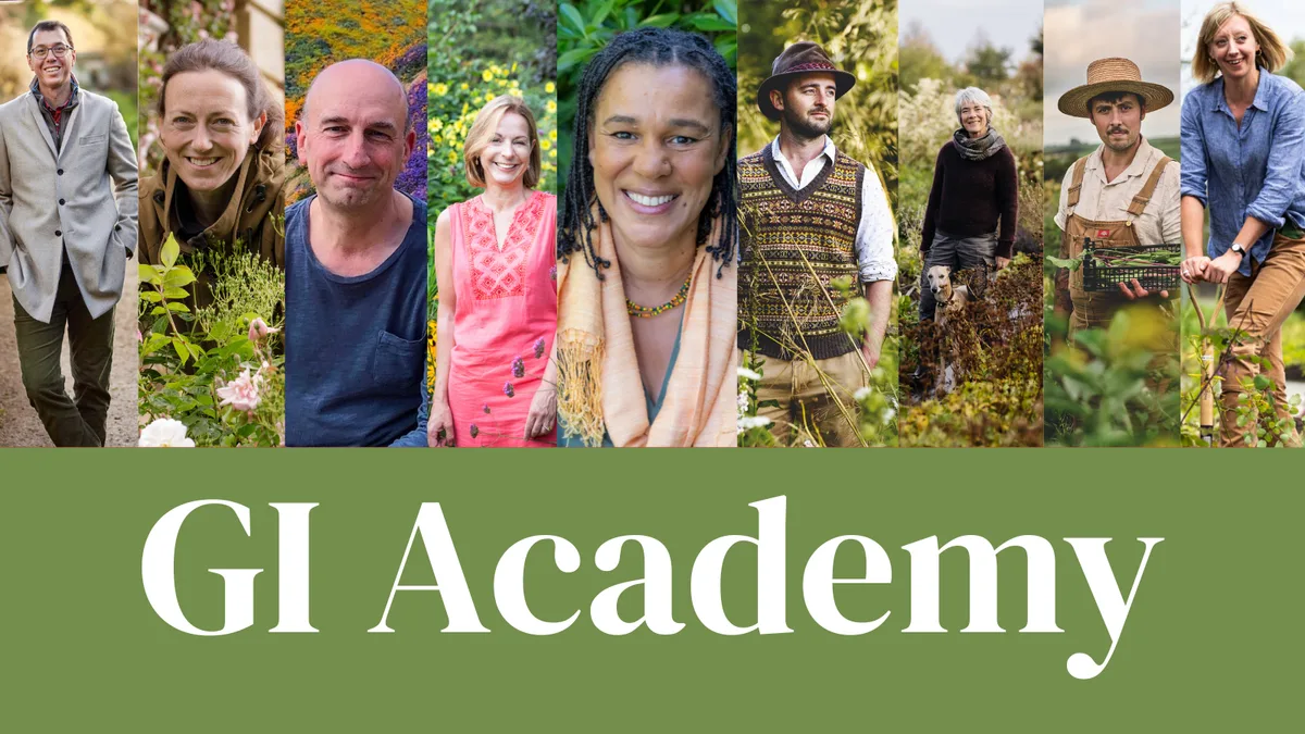 GI Academy