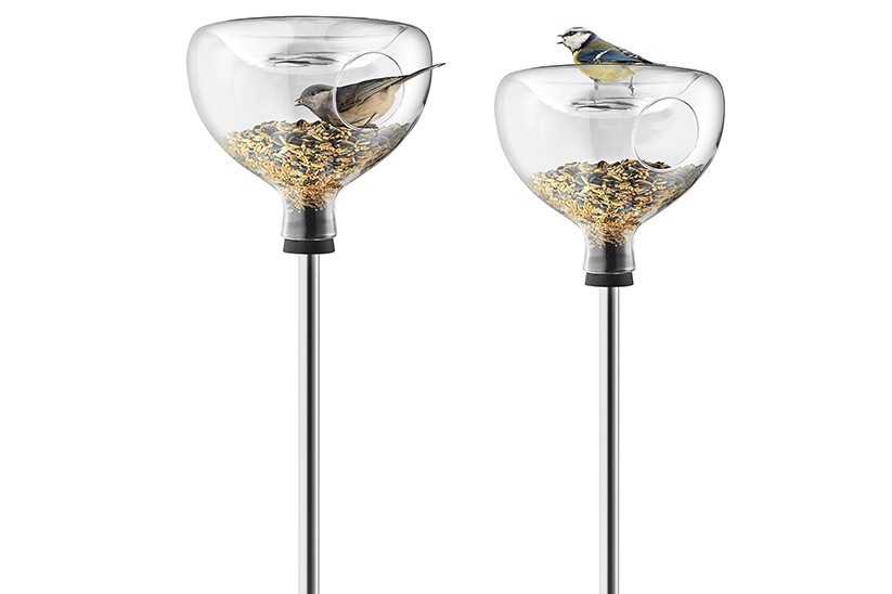 Birds using Glass Bird Table on a white background