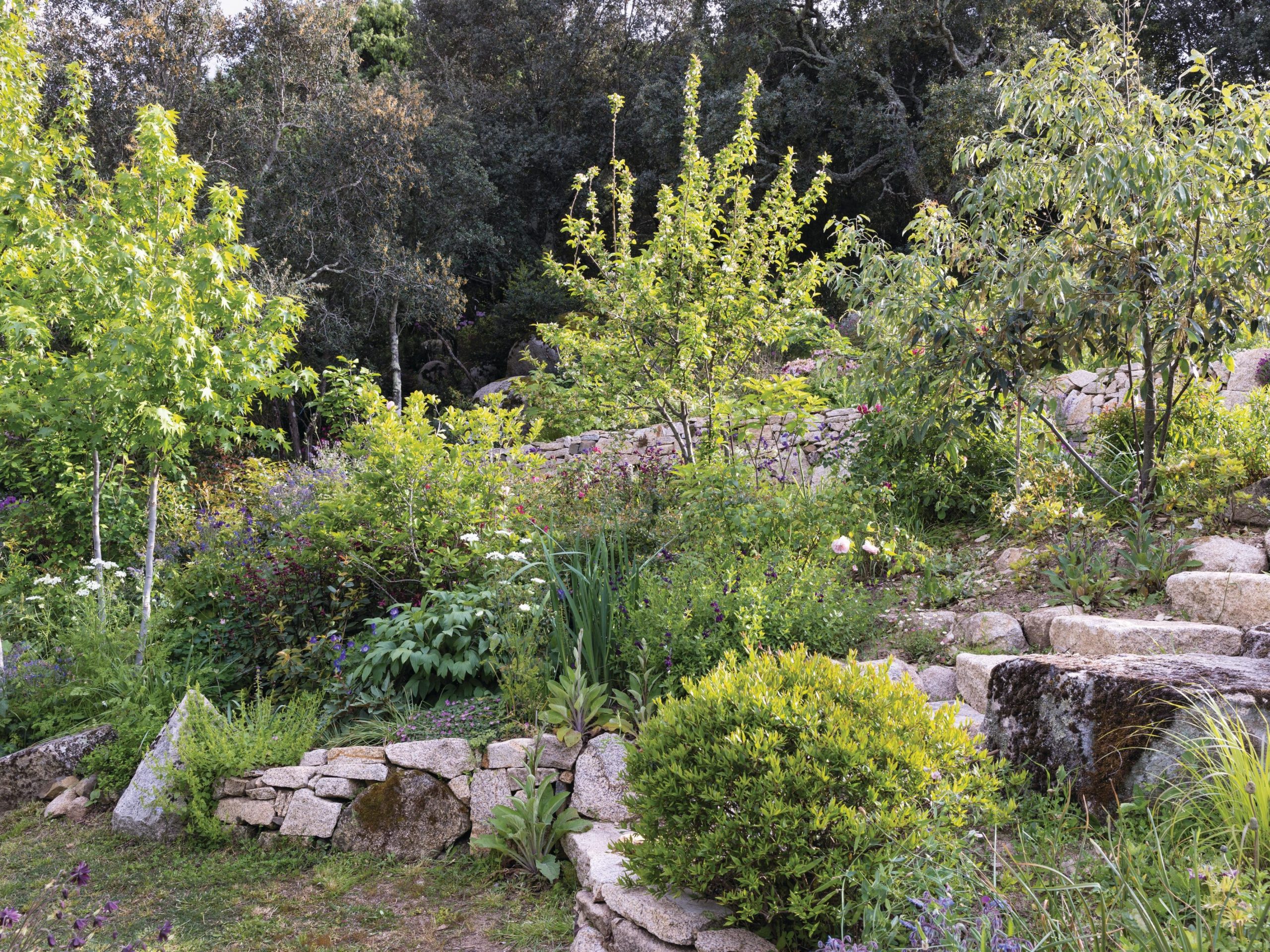 Garden beds
