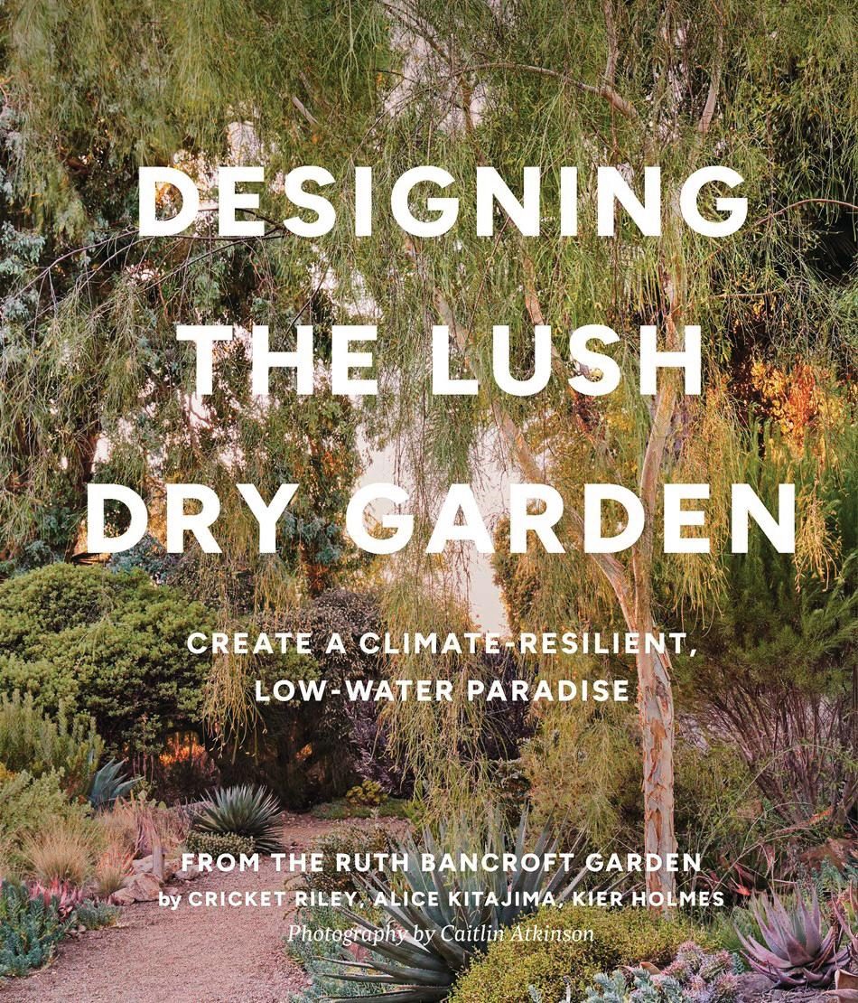 Book jacket