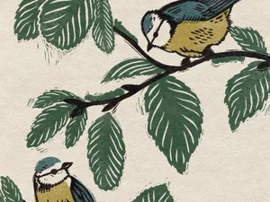 gardens_illustrated_bluetits_preview Blue tit garden illustration