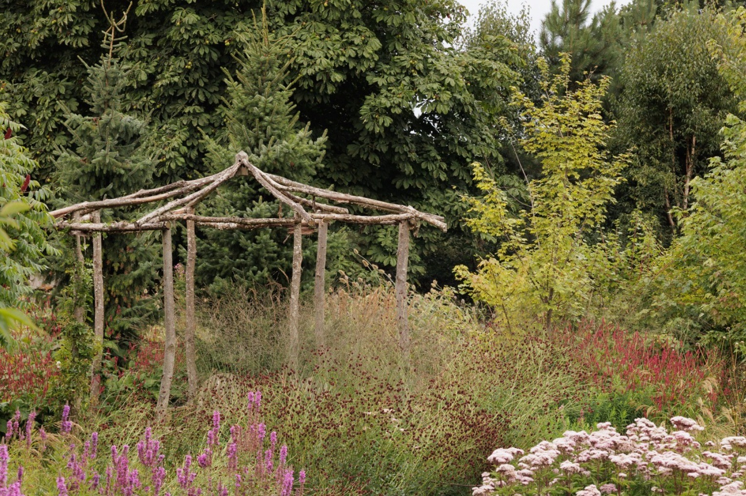 A charming pergola made from coppiced chestnut poles at Ellicar garden