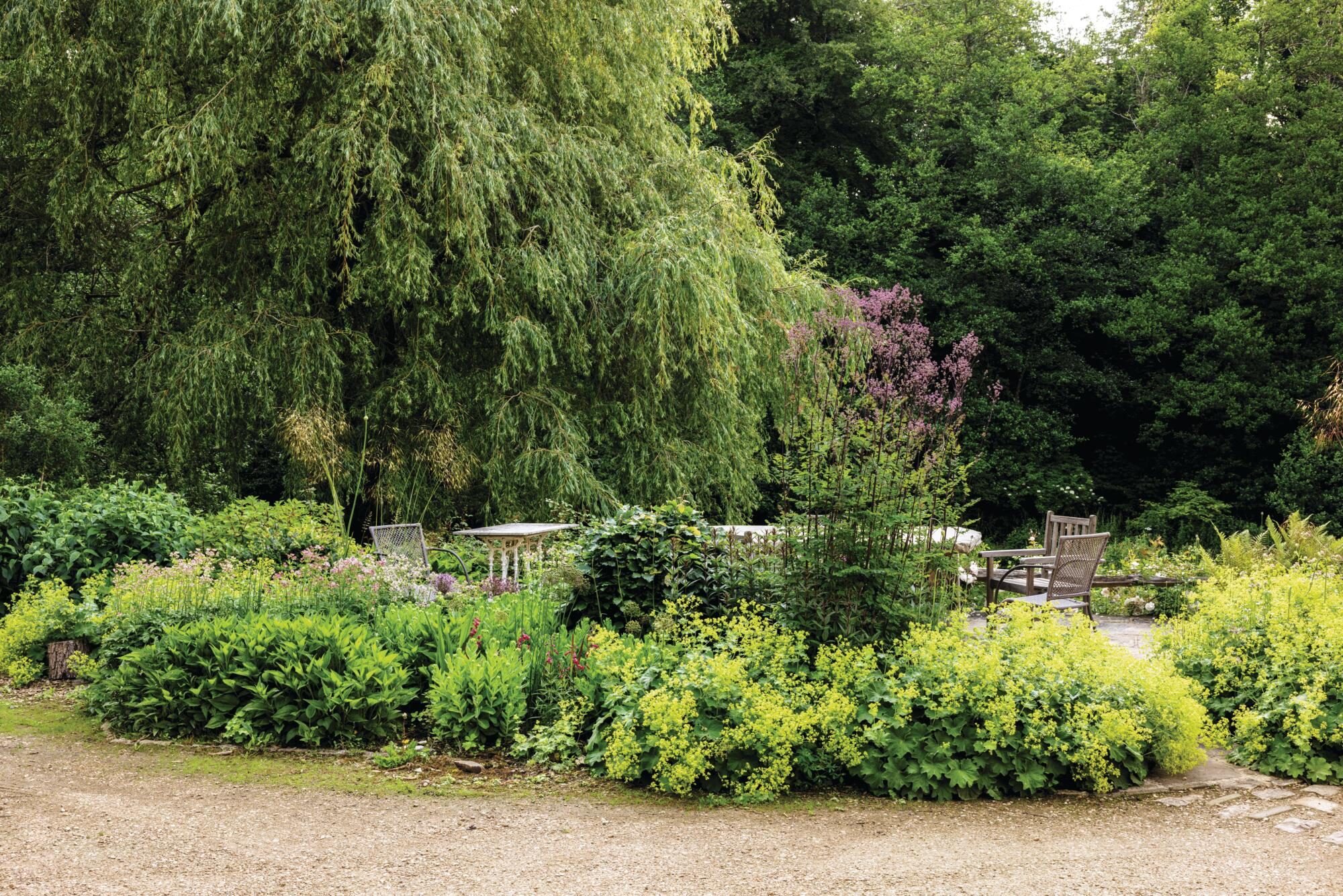 Green garden with tables