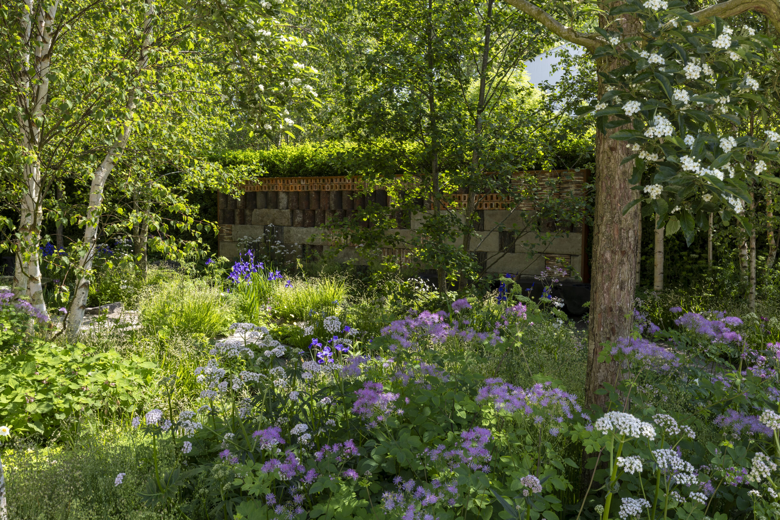 Muscular Dystrophy UK – Forest Bathing Garden at RHS Chelsea Flower Show. Designed by Ula Maria