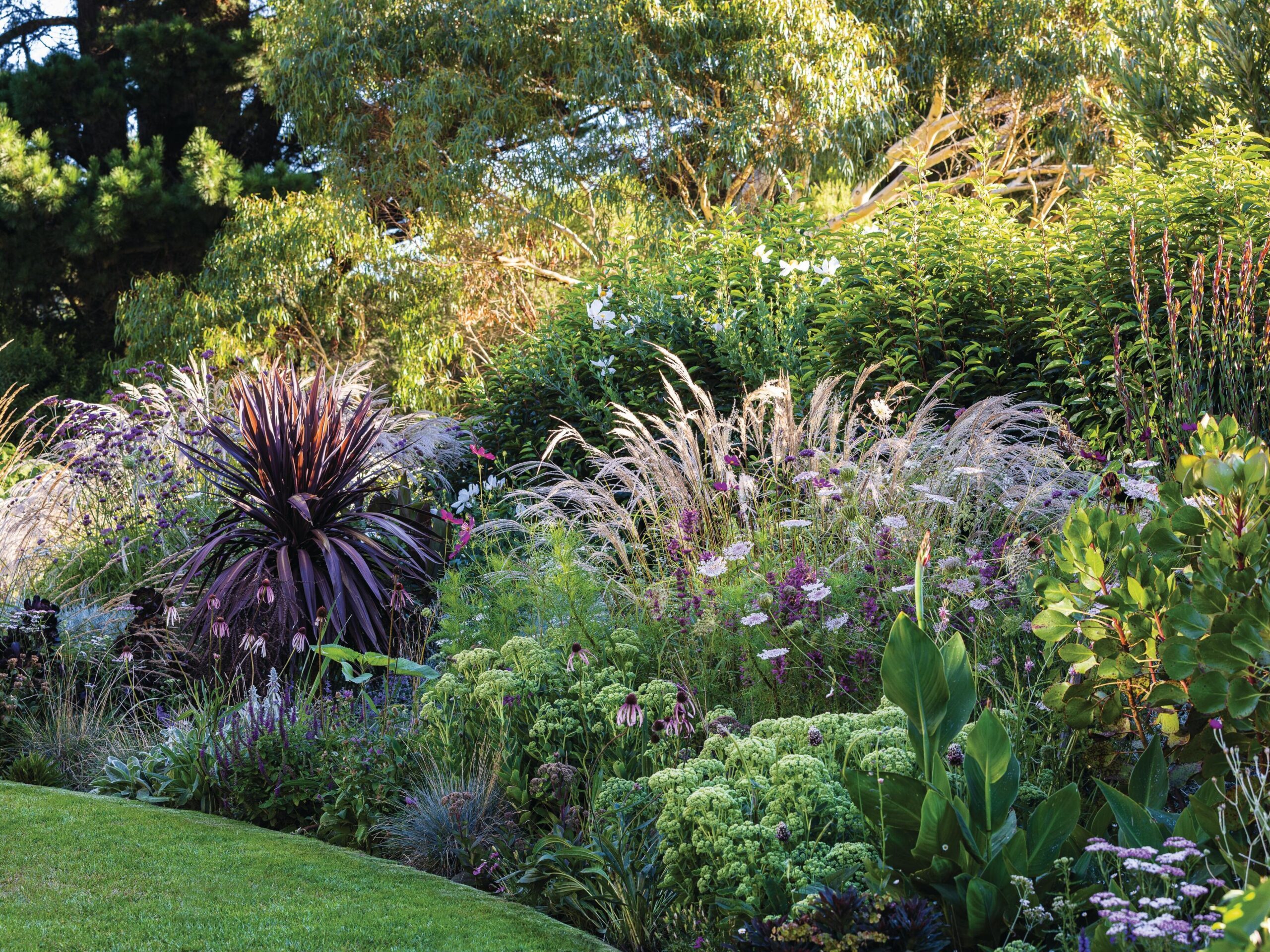 Colourful garden border