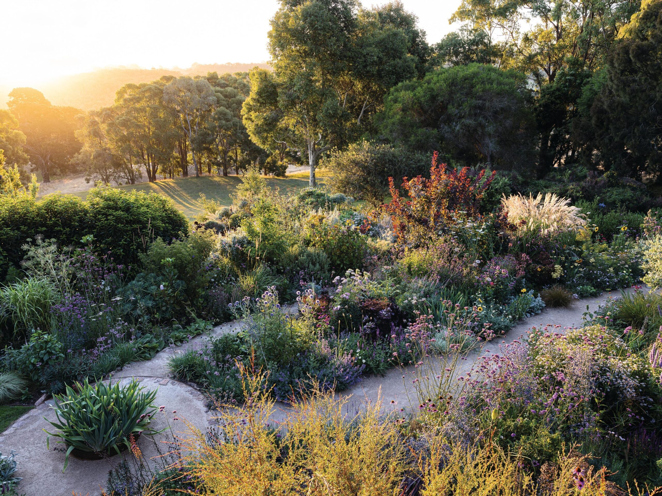 Garden in bloom at sunset