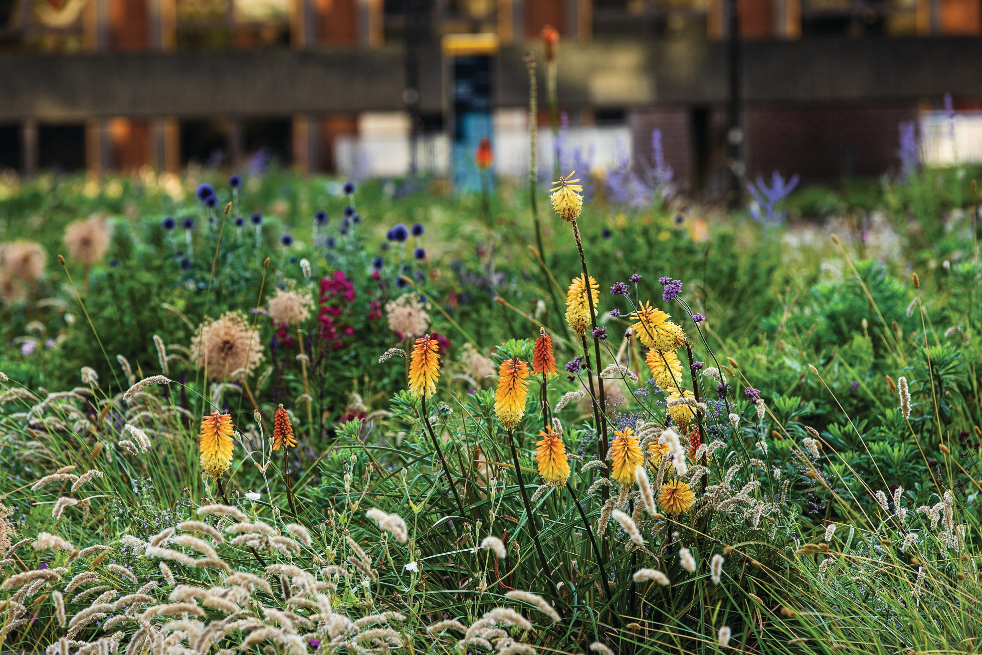 Beech Gardens at the Barbican