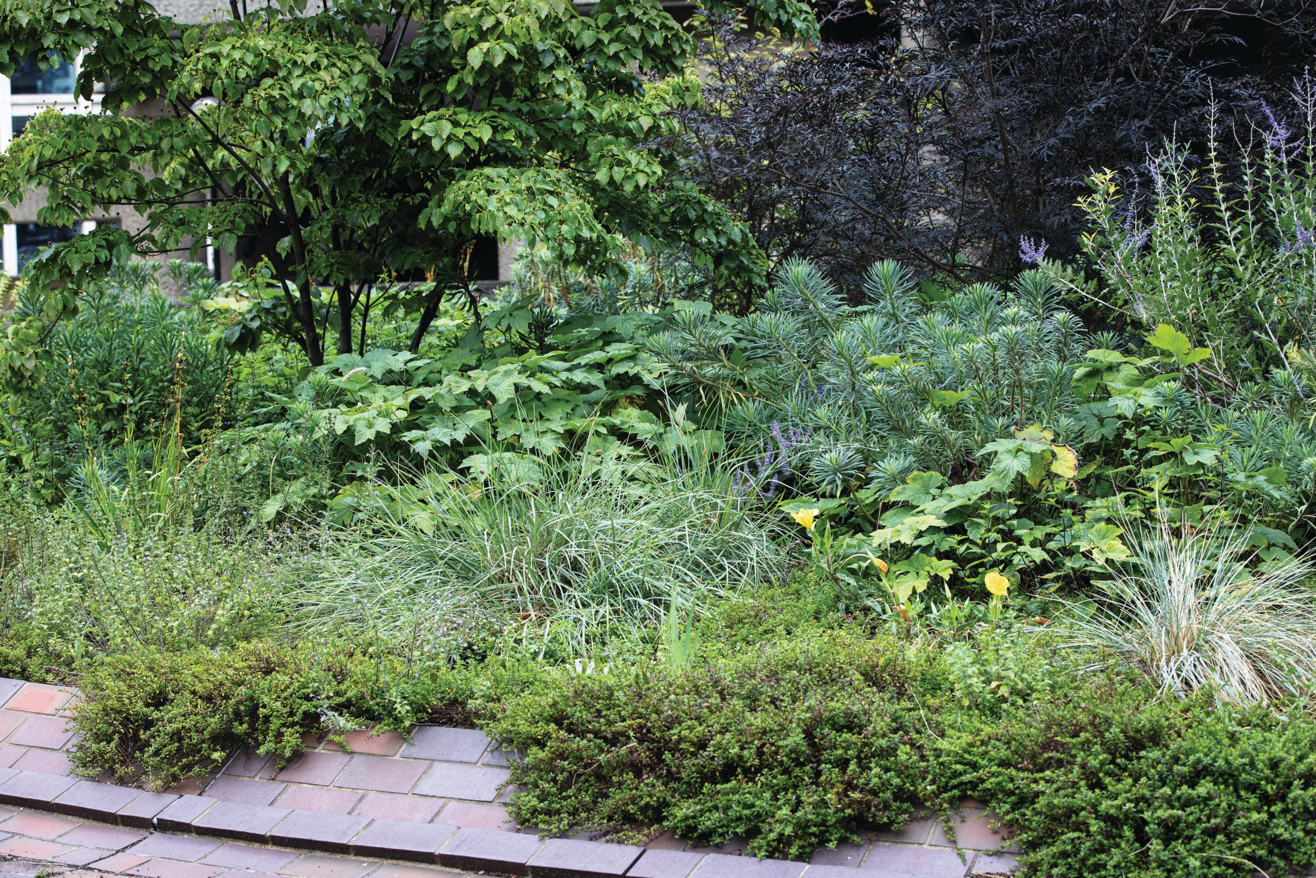Beech Gardens at the Barbican
