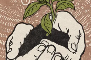 Gardening illustation Gardening illustration – hands holding a plant