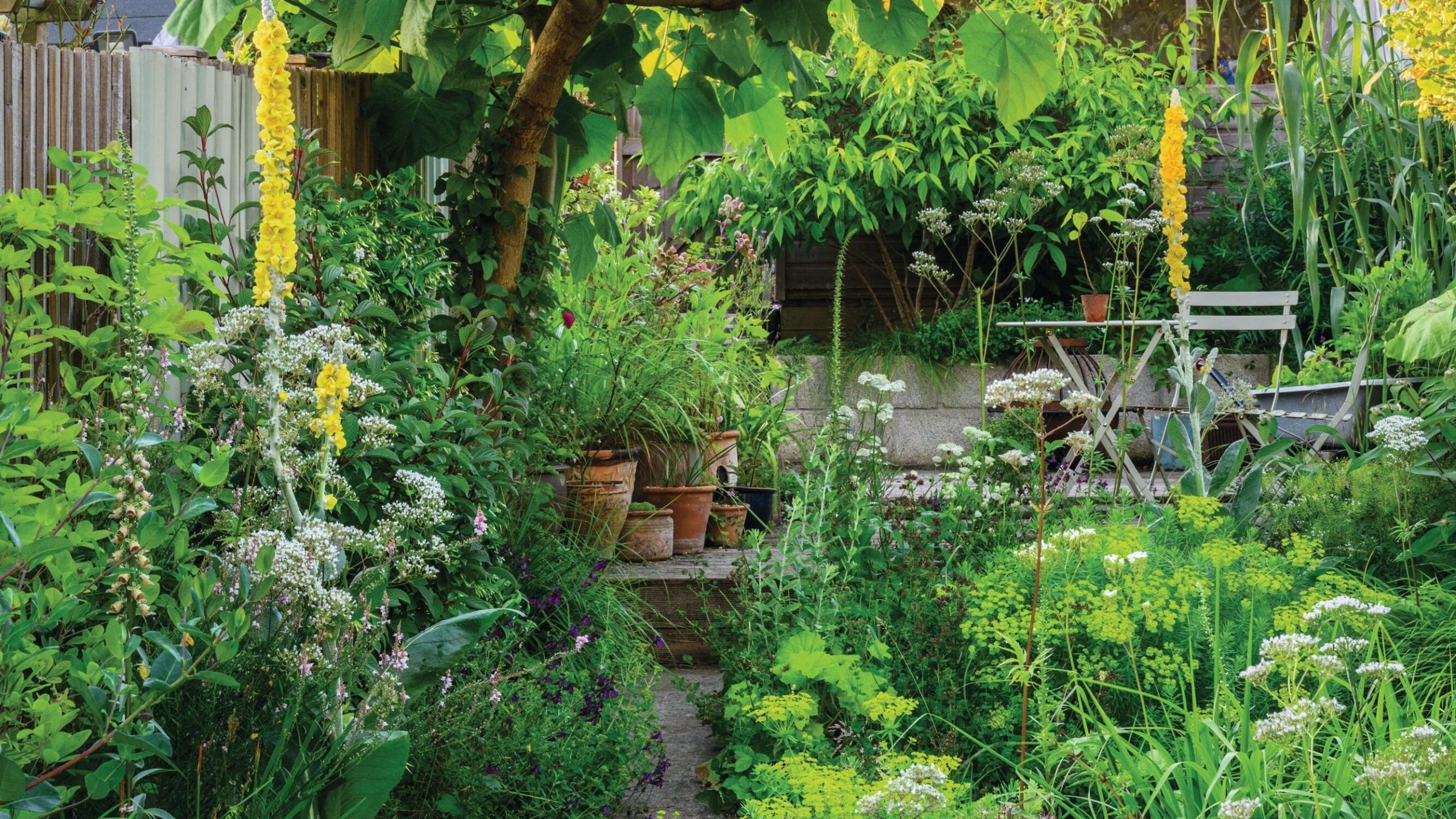 Matt Evans long narrow townhouse garden