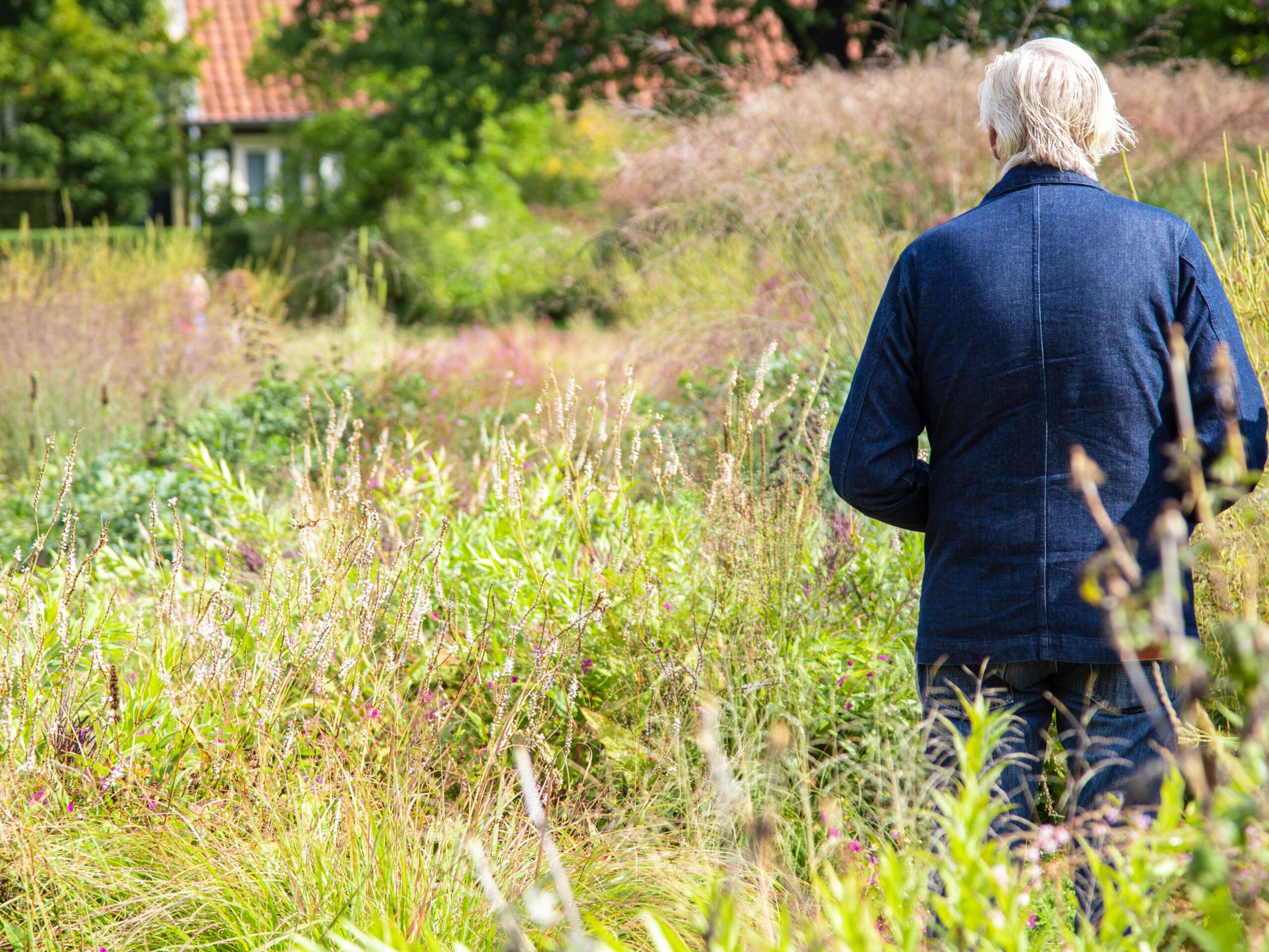 Piet Oudolf in his garden in Hummelo, the Netherlands