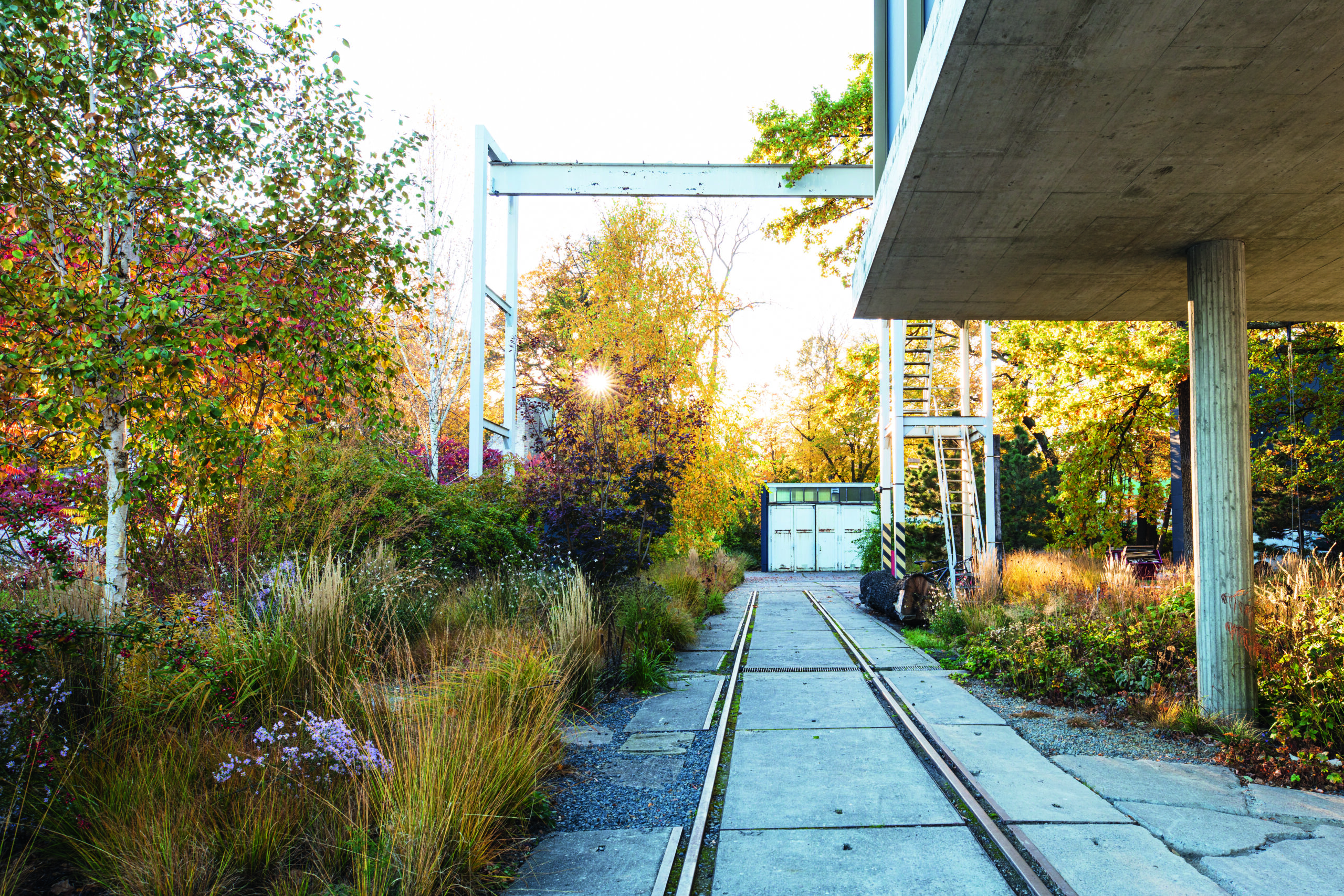 Garden of architect Tanja Lincke