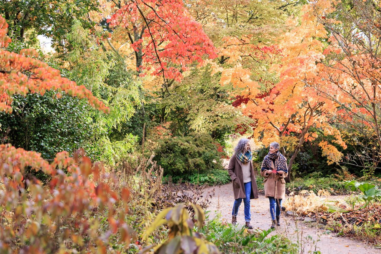 Visiting RHS Garden Wisley amongst the autumn colour