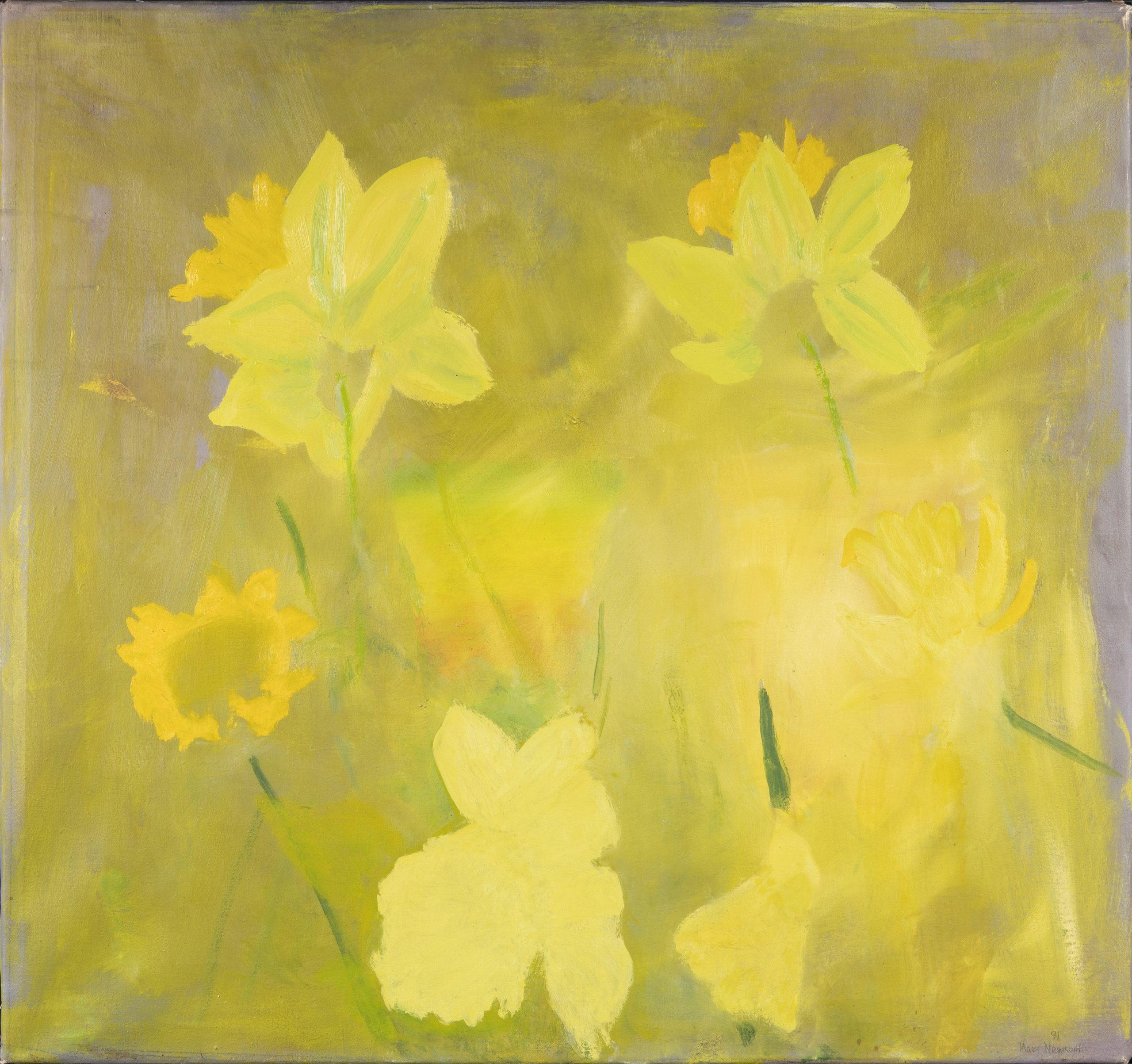Mary Newcomb, daffodils in the wind