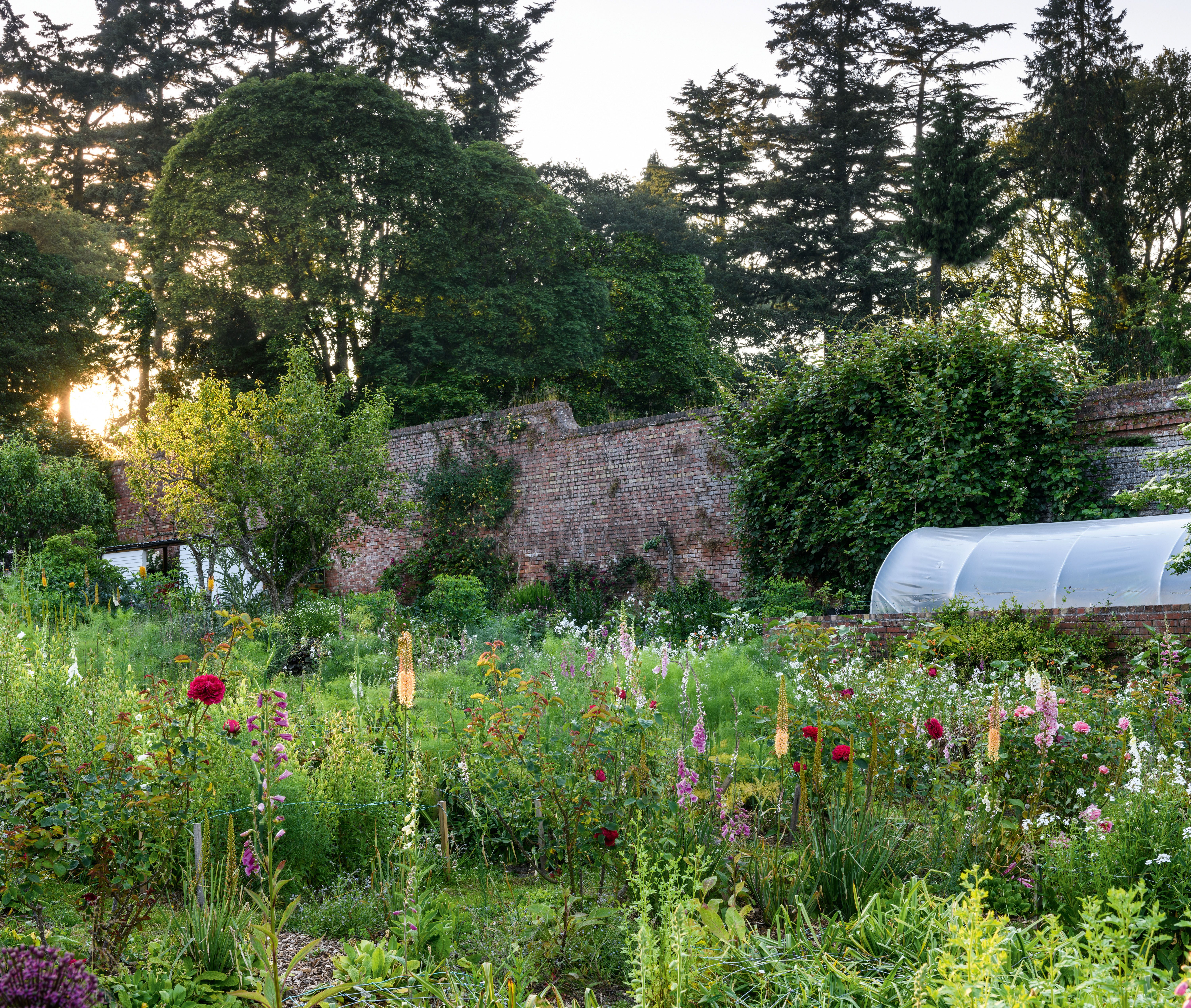 Stokesay Flowers