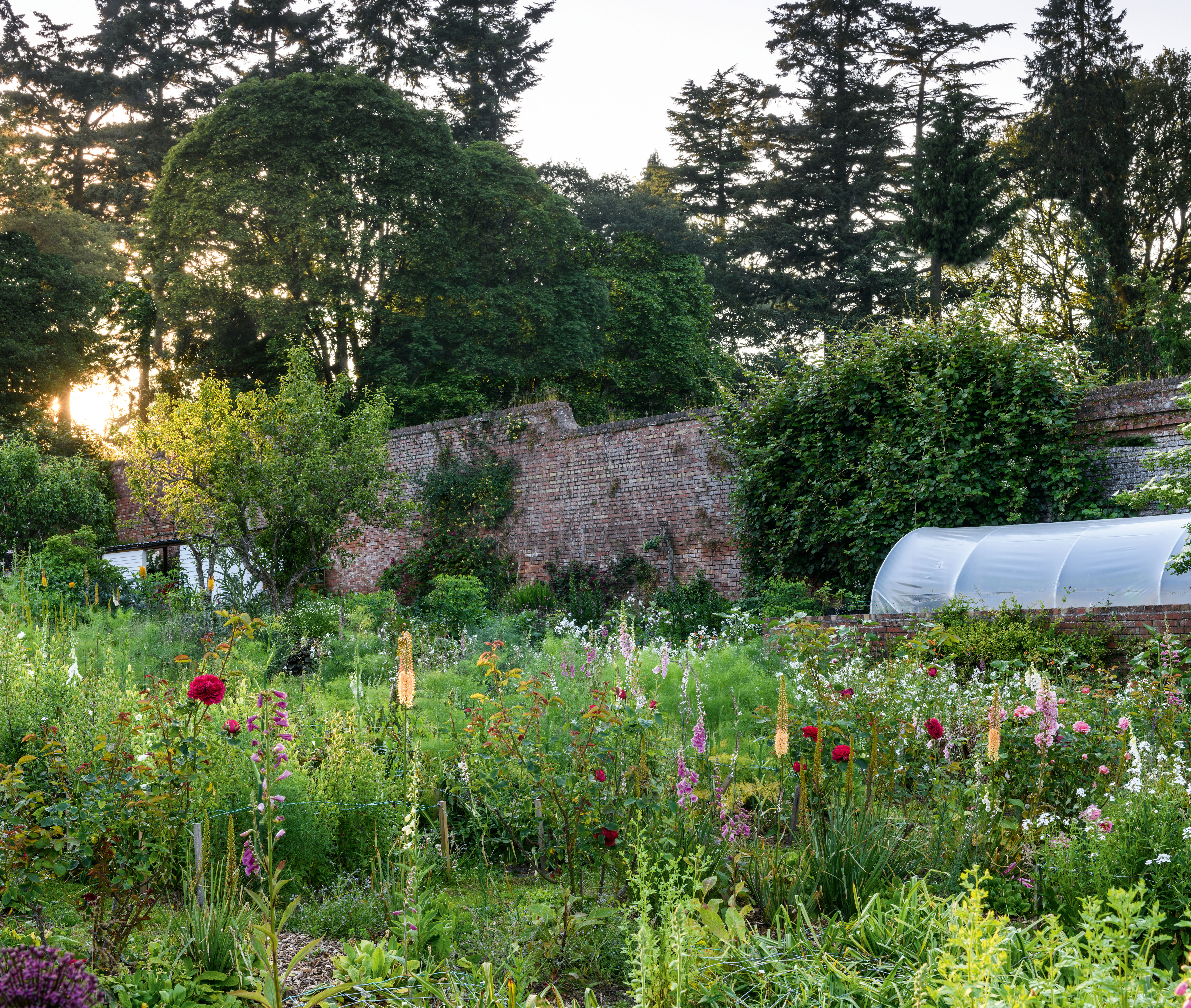 Stokesay Flowers