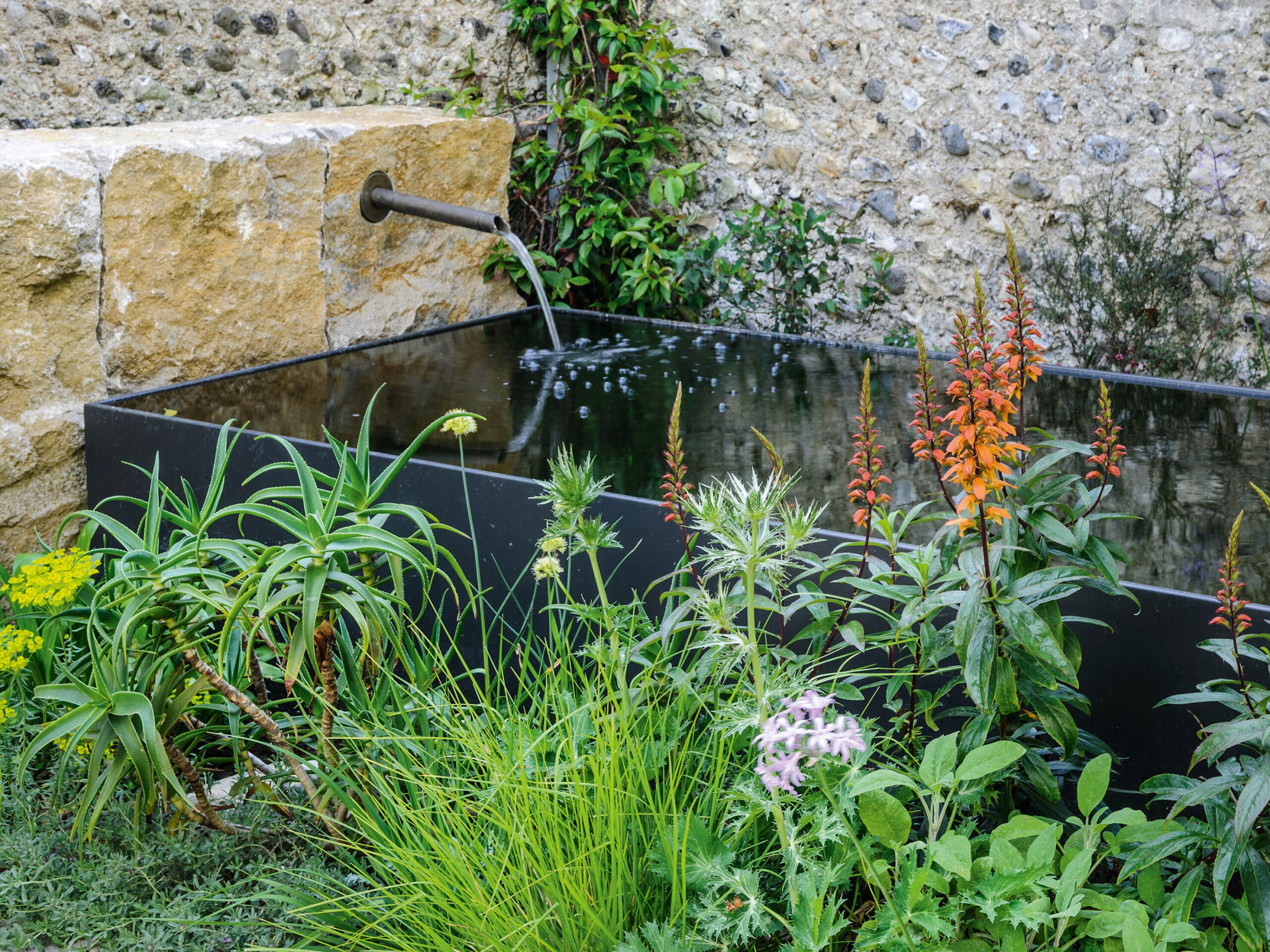 Andy Sturgeon's garden in Brighton