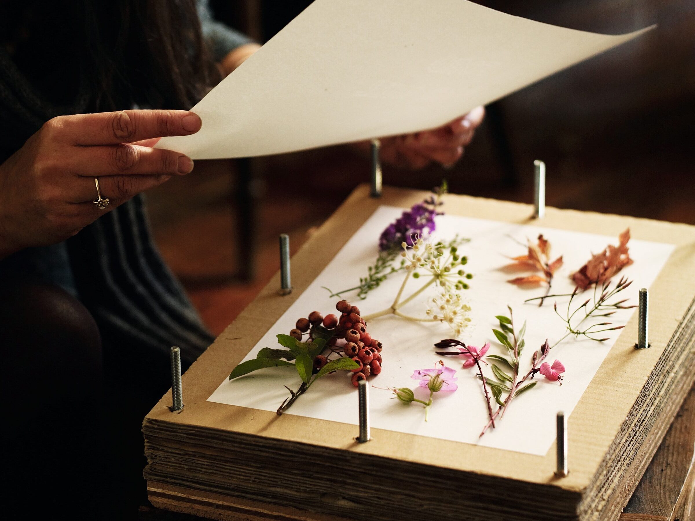 Making a floral advent calendar © Andrew Montgomery