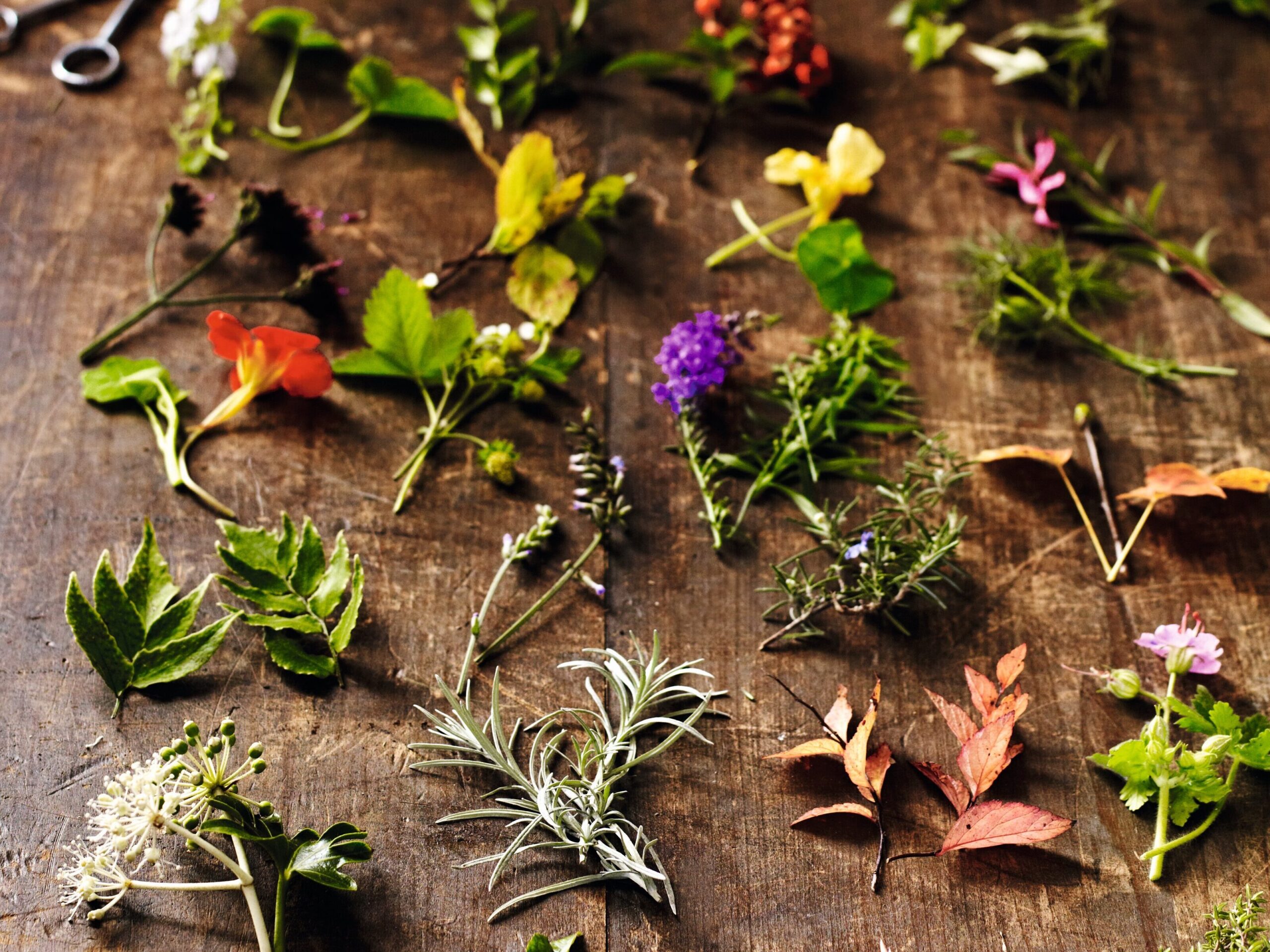 Floral advent calendar © Andrew Montgomery