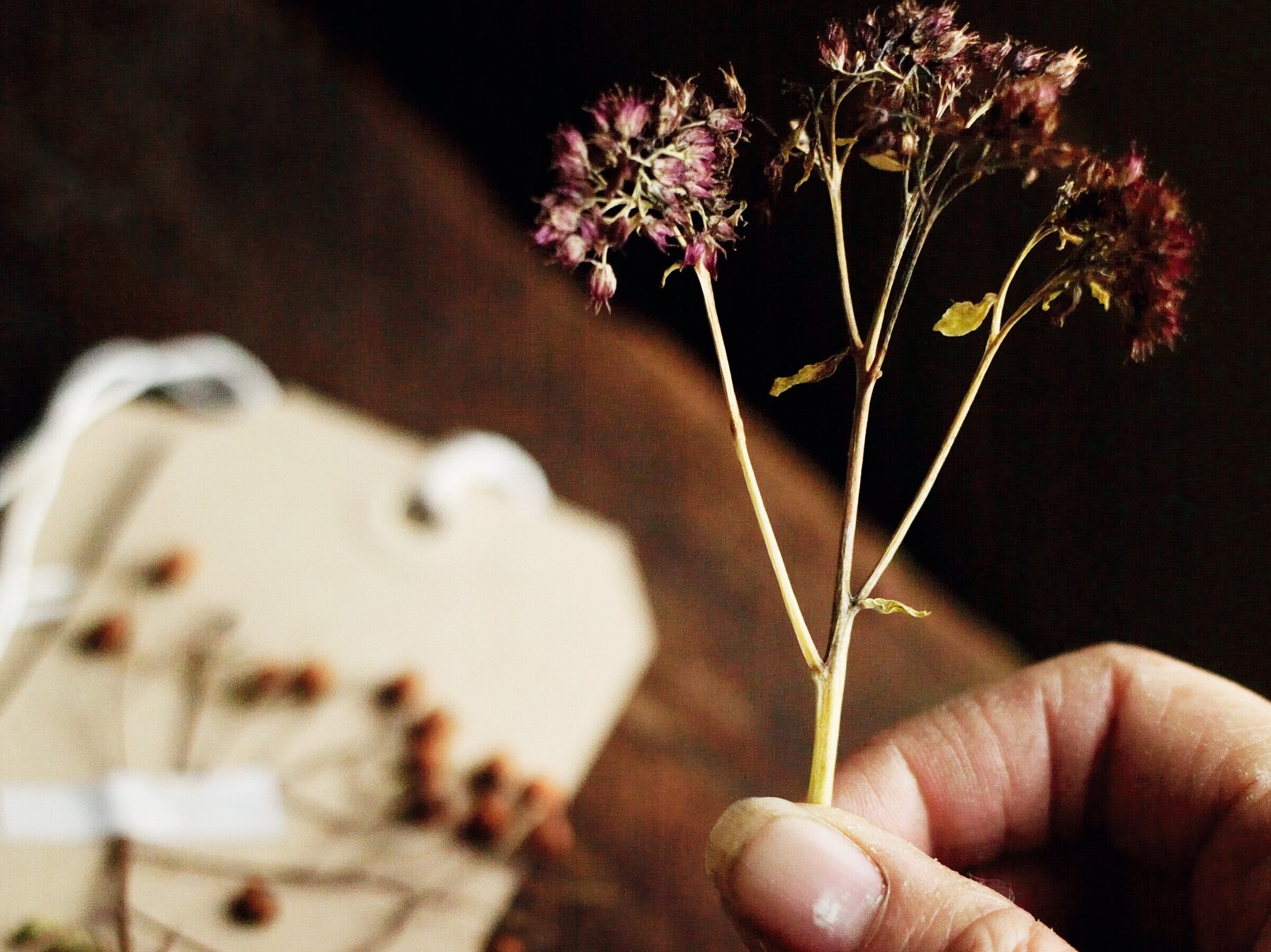 Making a floral advent calendar