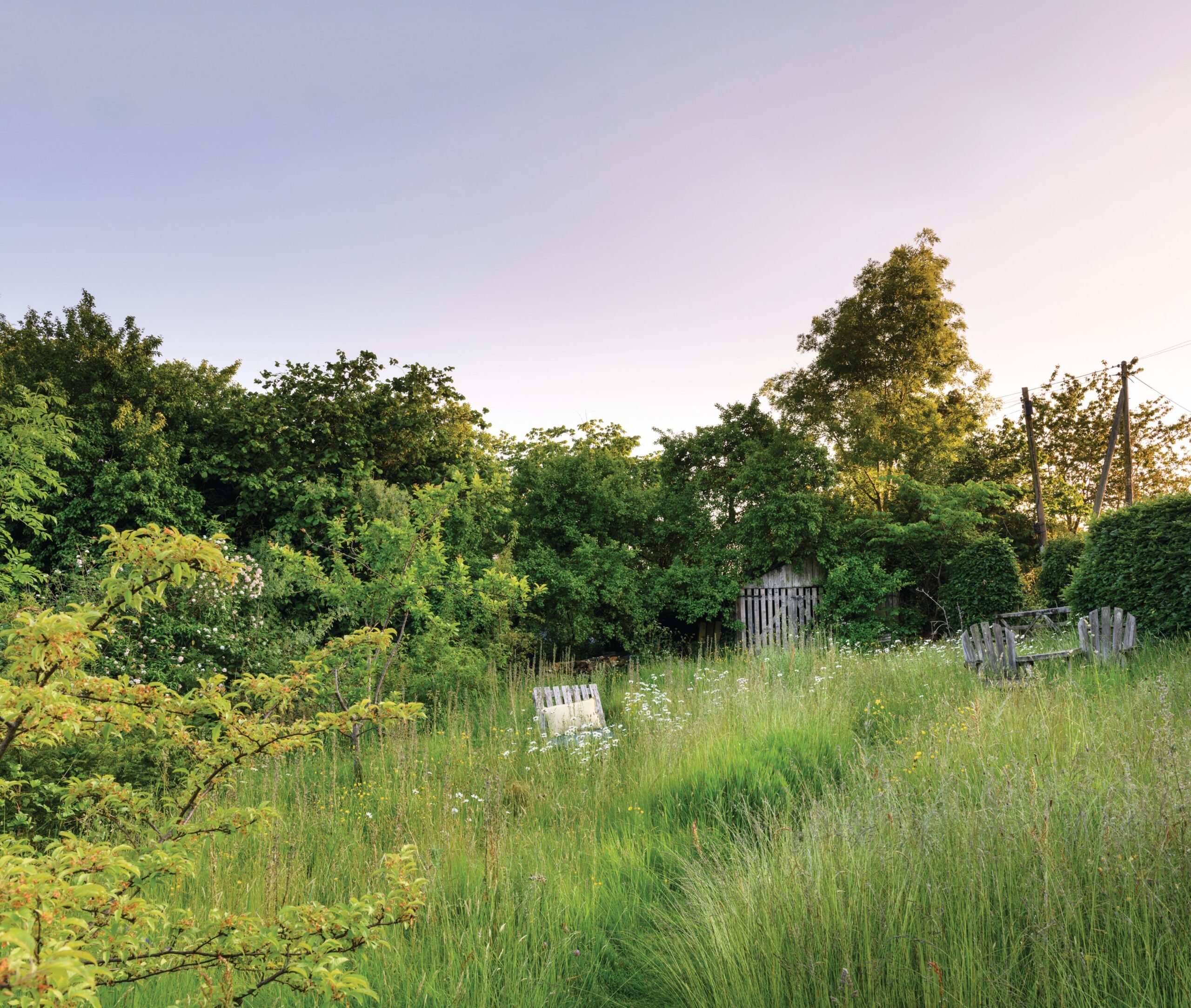 Rosarian Michael Marriott and TV producer Rosie Irving's garden