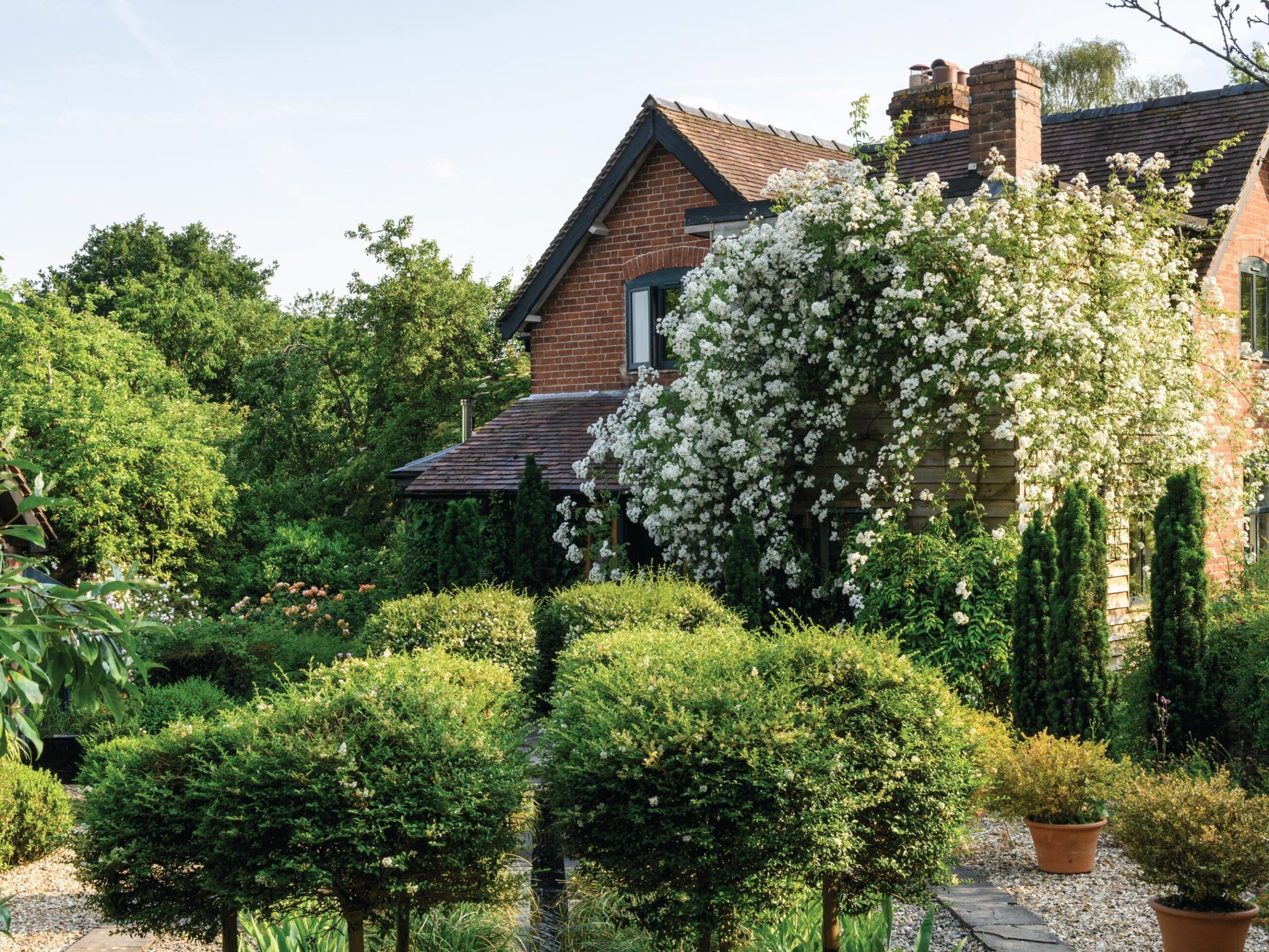 Rosarian Michael Marriott and TV producer Rosie Irving's garden