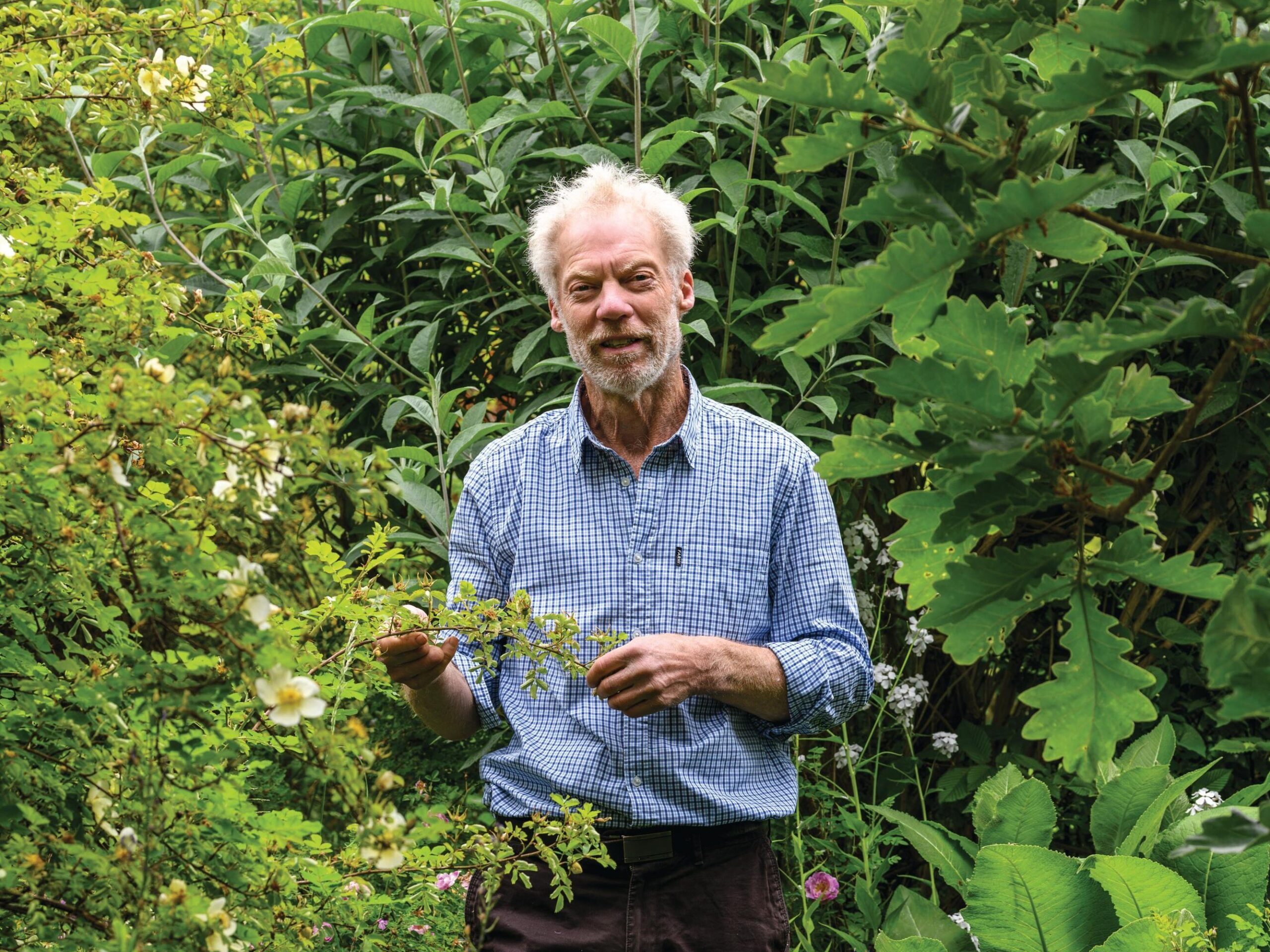 Rosarian Michael Marriott in his garden
