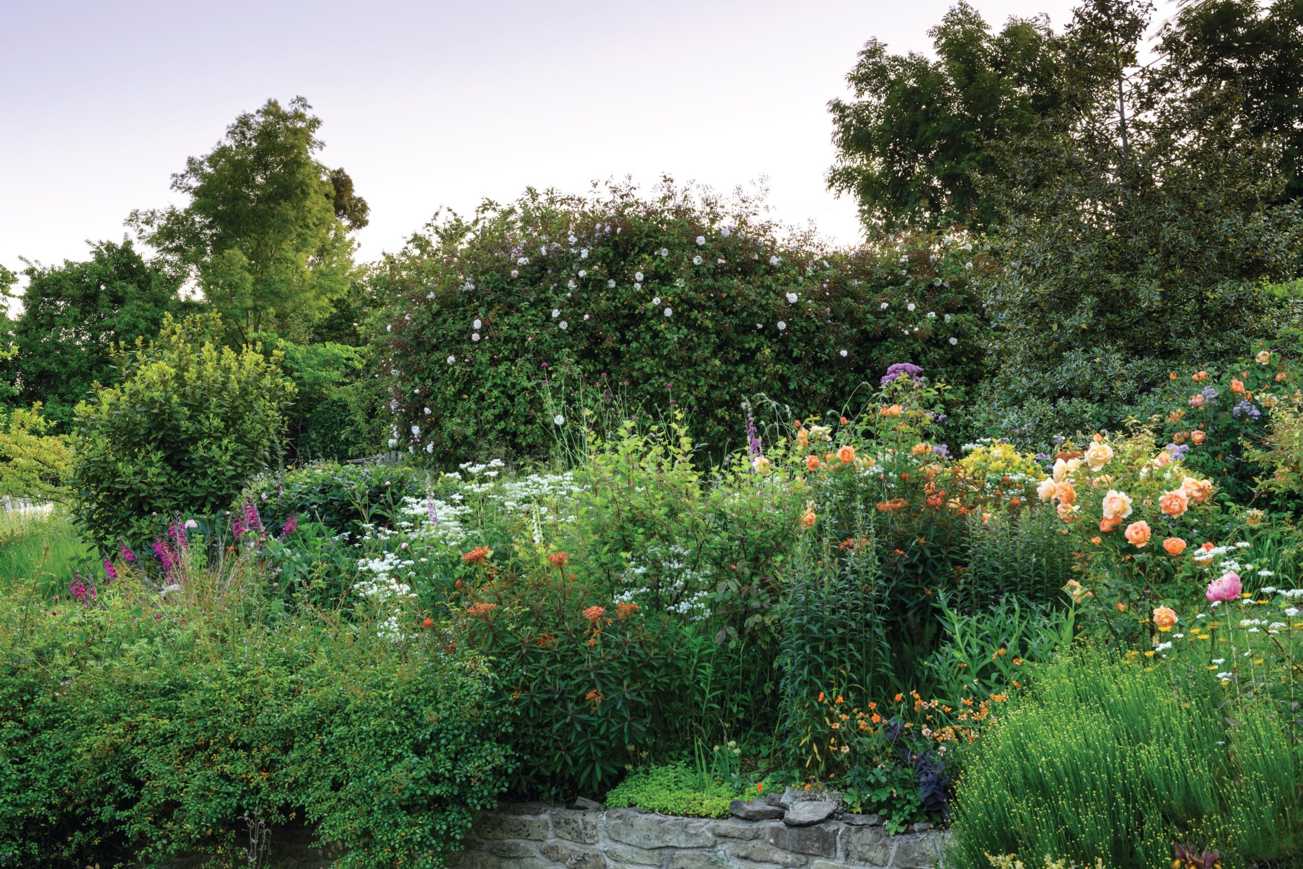 Rosarian Michael Marriott and TV producer Rosie Irving's garden