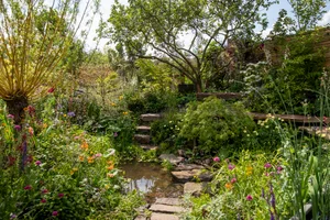 Flood Re: The Flood Resilient Garden at RHS Chelsea Flower Show 2024. Designed by Naomi Slade and Dr Ed Barsley. Sponsored by FloodRe. Flood Re: The Flood Resilient Garden at RHS Chelsea Flower Show 2024. Designed by Naomi Slade and Dr Ed Barsley. Sponsored by FloodRe.